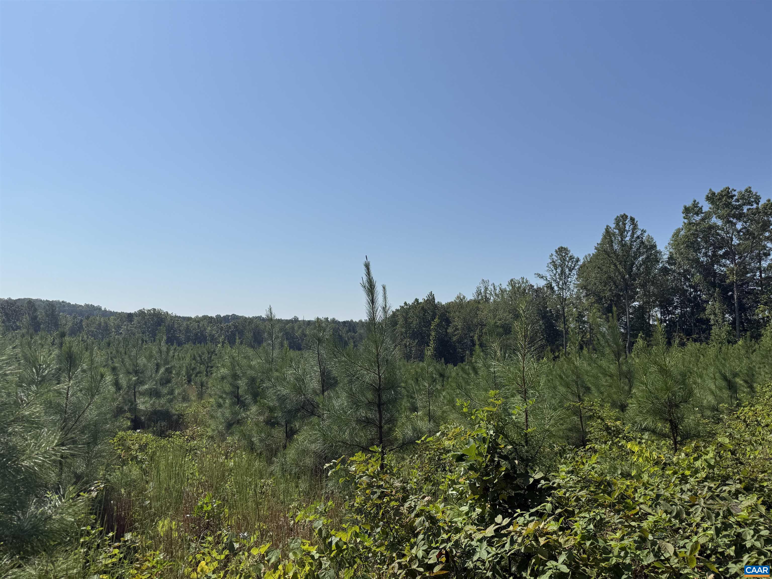6 COMMUNITY HOUSE RD, KENTS STORE, Virginia 23084, ,Land,14,6 COMMUNITY HOUSE RD,681960 MLS # 681960
