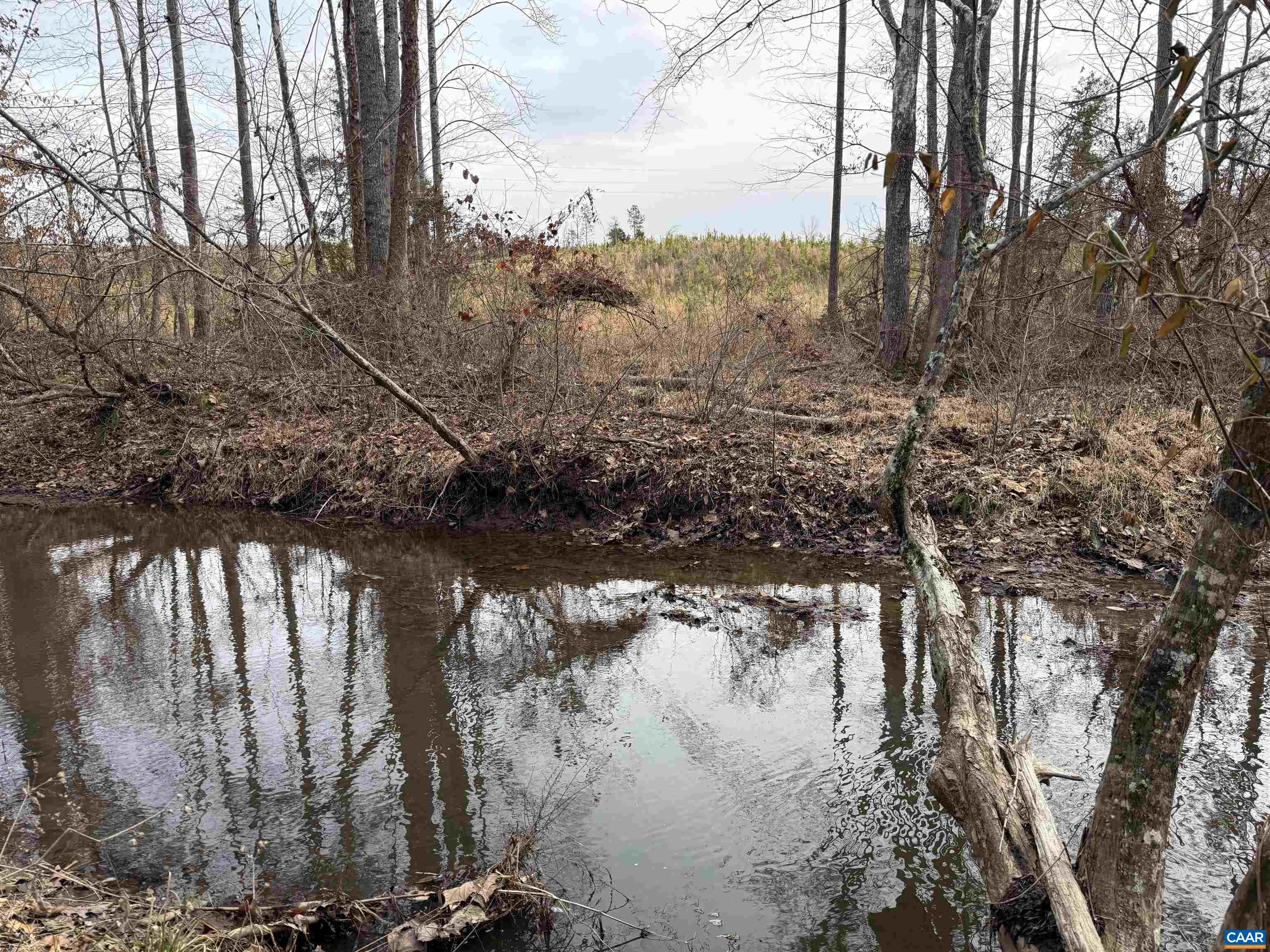 6 COMMUNITY HOUSE RD, KENTS STORE, Virginia 23084, ,Land,14,6 COMMUNITY HOUSE RD,681960 MLS # 681960