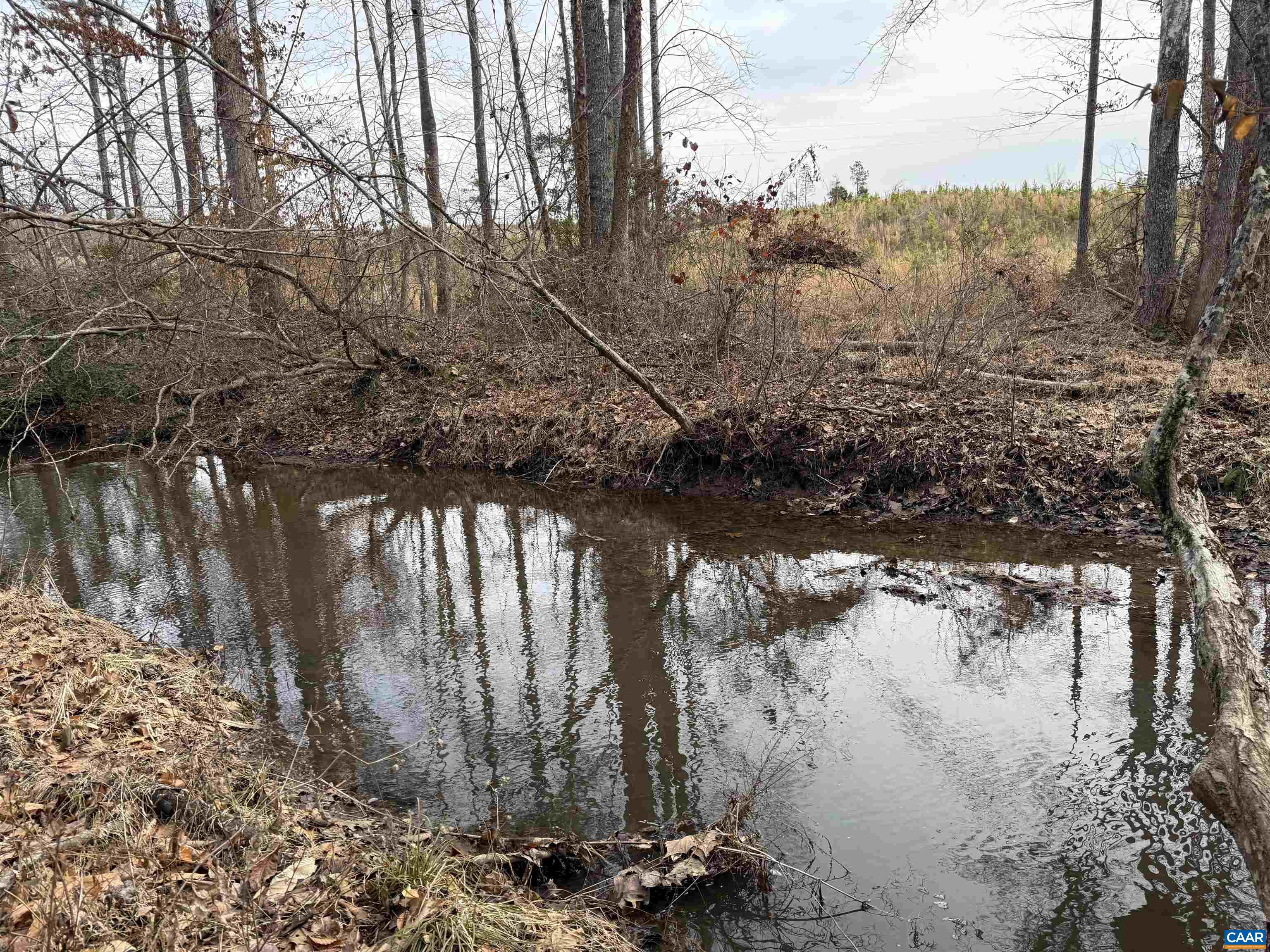 6 COMMUNITY HOUSE RD, KENTS STORE, Virginia 23084, ,Land,14,6 COMMUNITY HOUSE RD,681960 MLS # 681960