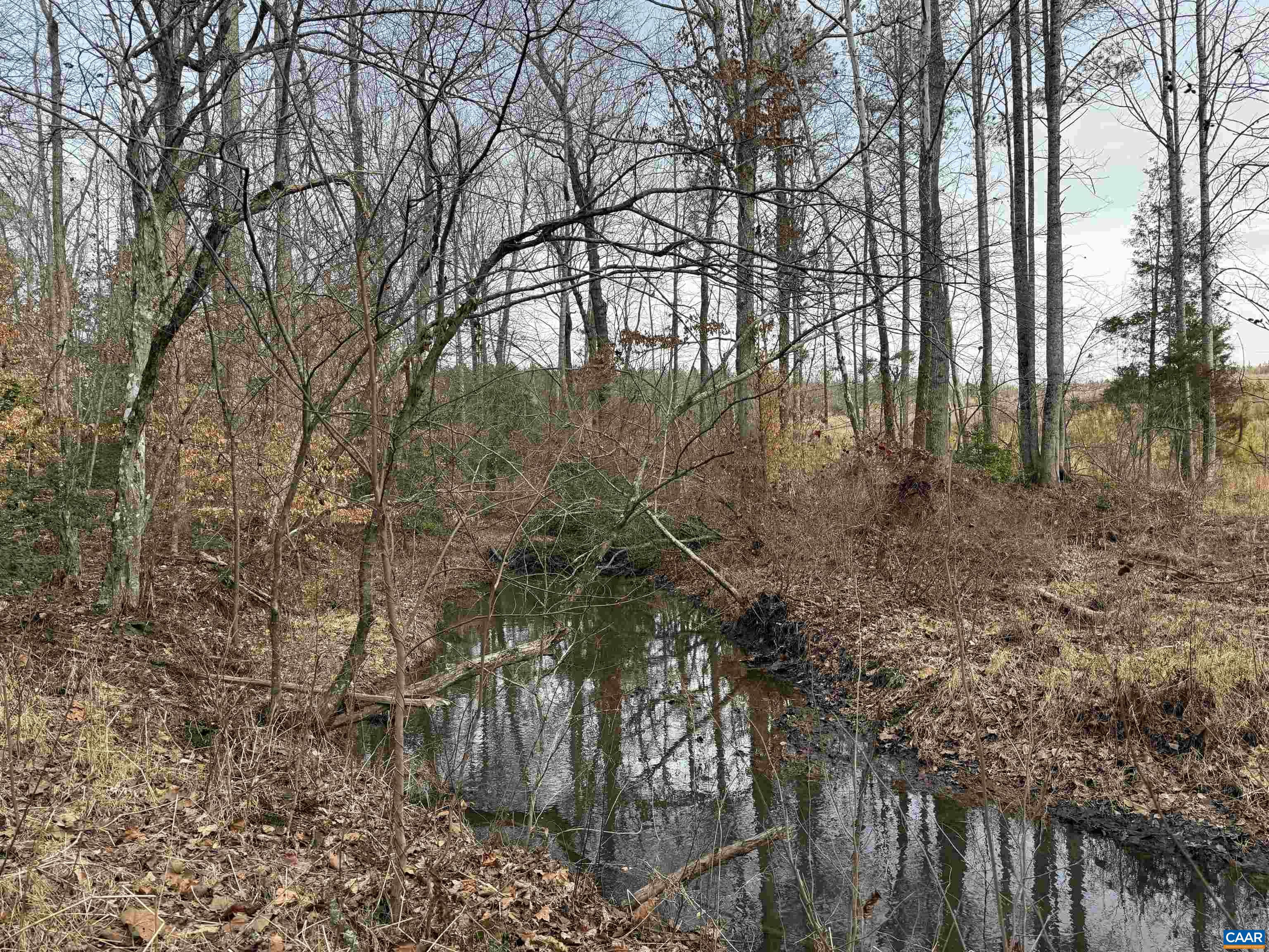 6 COMMUNITY HOUSE RD, KENTS STORE, Virginia 23084, ,Land,14,6 COMMUNITY HOUSE RD,681960 MLS # 681960
