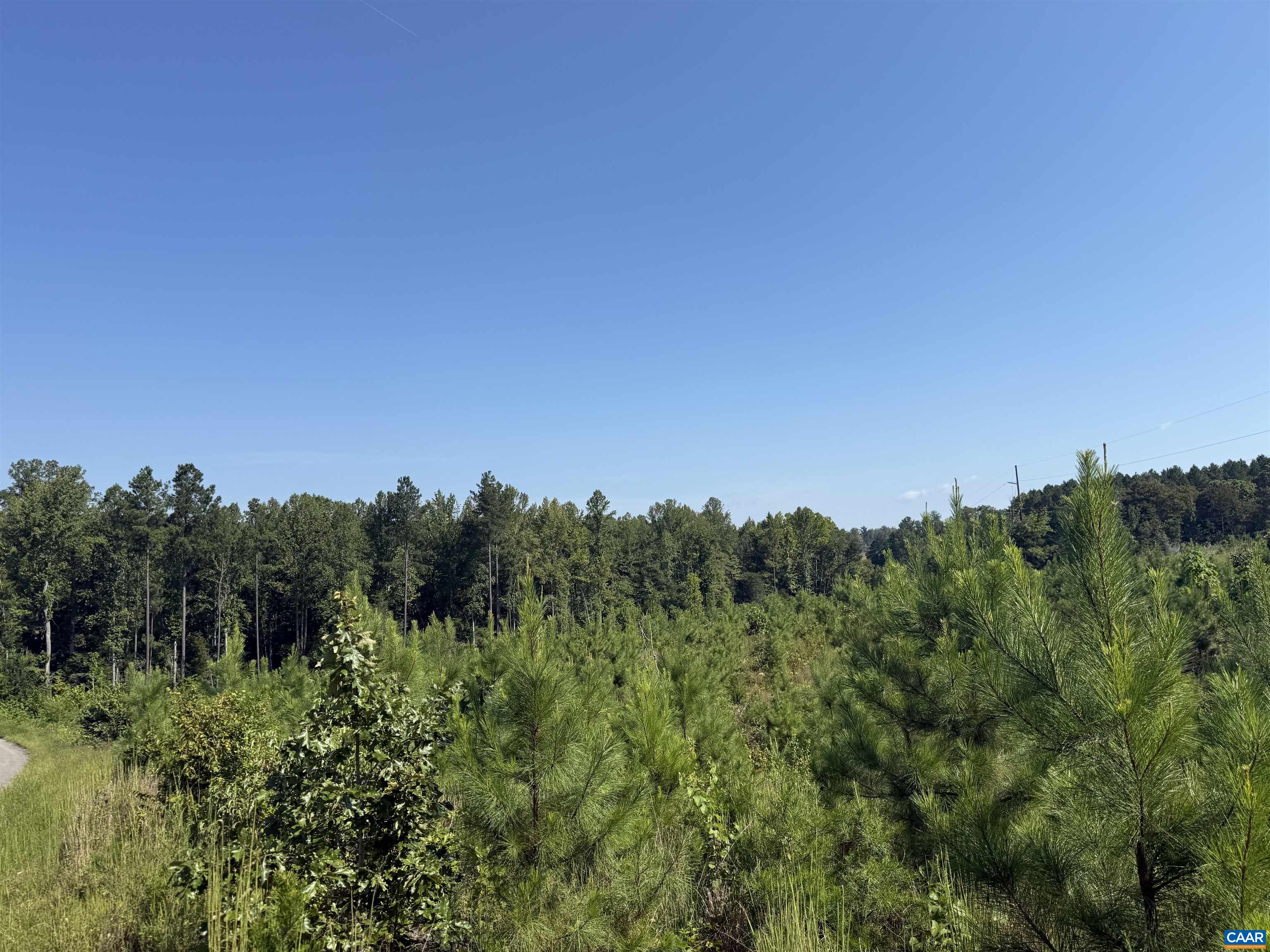 6 COMMUNITY HOUSE RD, KENTS STORE, Virginia 23084, ,Land,14,6 COMMUNITY HOUSE RD,681960 MLS # 681960