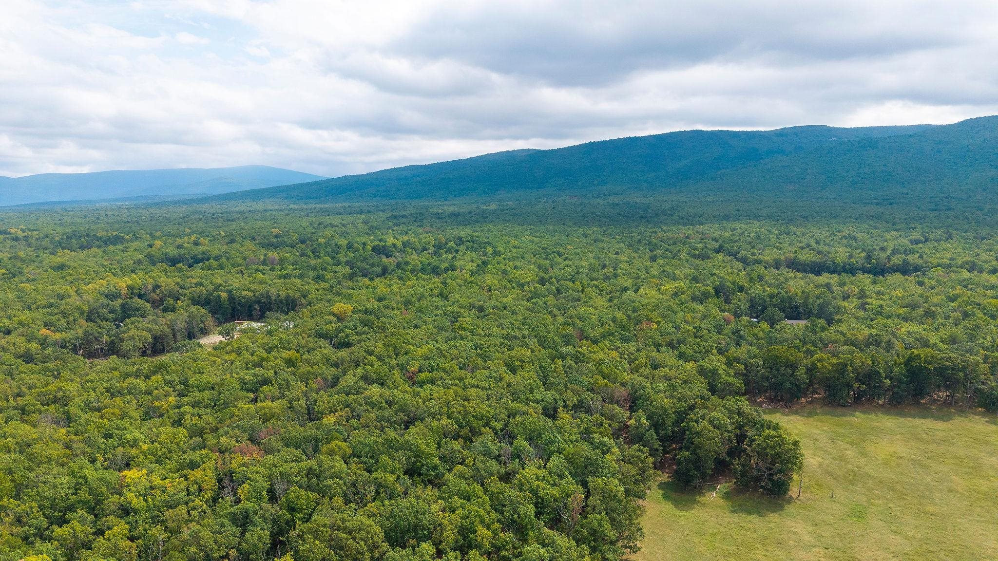 47.8 Acres HORSESHOE CIR, STUARTS DRAFT, Virginia 24477, ,Land,14,47.8 Acres HORSESHOE CIR,681885 MLS # 681885 47.8 Acres HORSESHOE CIR, STUARTS DRAFT, Virginia 24477, ,Land,14,47.8 Acres HORSESHOE CIR,681885 MLS # 681885