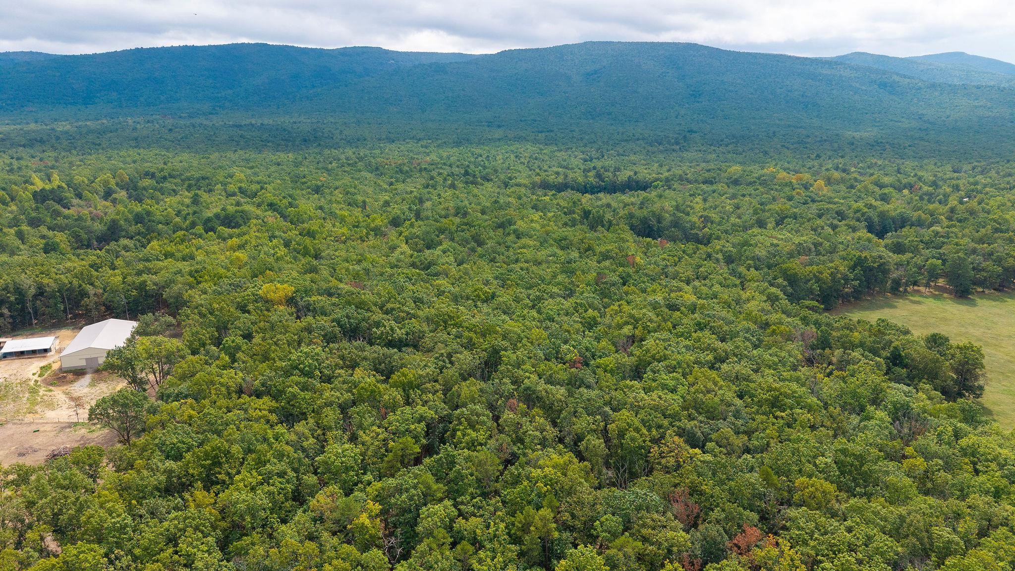 47.8 Acres HORSESHOE CIR, STUARTS DRAFT, Virginia 24477, ,Land,14,47.8 Acres HORSESHOE CIR,681885 MLS # 681885 47.8 Acres HORSESHOE CIR, STUARTS DRAFT, Virginia 24477, ,Land,14,47.8 Acres HORSESHOE CIR,681885 MLS # 681885