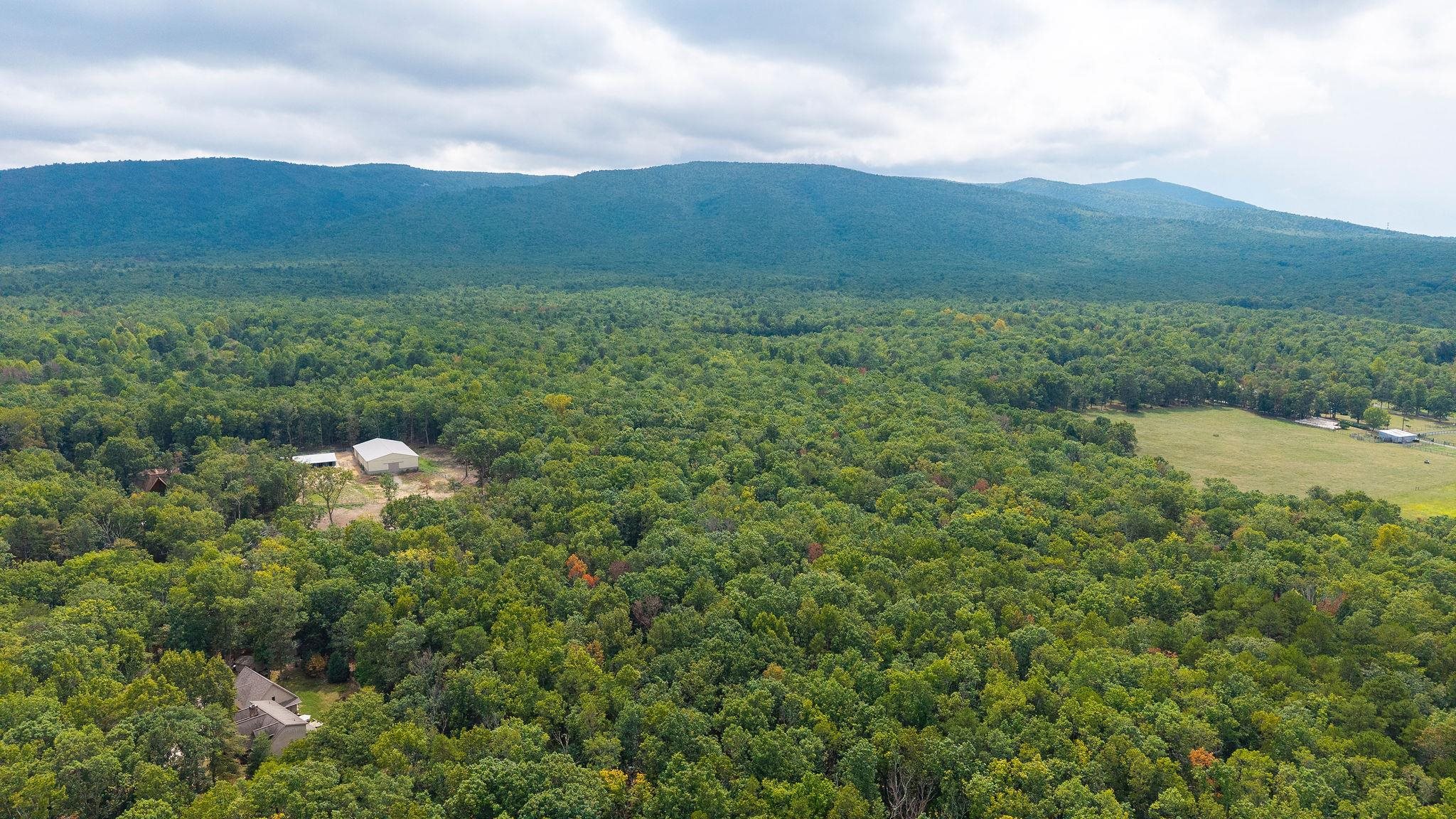 47.8 Acres HORSESHOE CIR, STUARTS DRAFT, Virginia 24477, ,Land,14,47.8 Acres HORSESHOE CIR,681885 MLS # 681885 47.8 Acres HORSESHOE CIR, STUARTS DRAFT, Virginia 24477, ,Land,14,47.8 Acres HORSESHOE CIR,681885 MLS # 681885