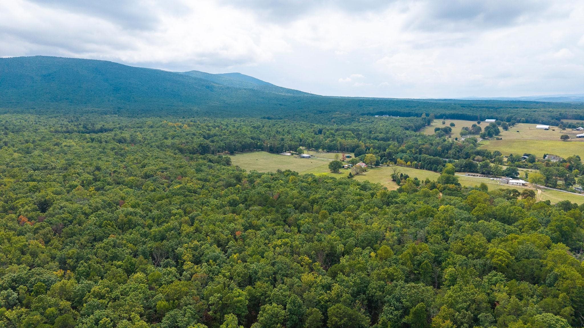 47.8 Acres HORSESHOE CIR, STUARTS DRAFT, Virginia 24477, ,Land,14,47.8 Acres HORSESHOE CIR,681885 MLS # 681885 47.8 Acres HORSESHOE CIR, STUARTS DRAFT, Virginia 24477, ,Land,14,47.8 Acres HORSESHOE CIR,681885 MLS # 681885