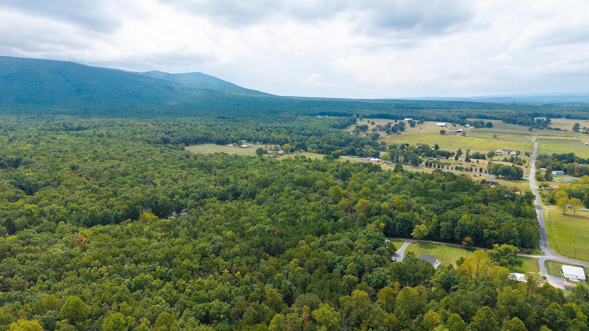47.8 Acres HORSESHOE CIR, STUARTS DRAFT, Virginia 24477, ,Land,14,47.8 Acres HORSESHOE CIR,681885 MLS # 681885 47.8 Acres HORSESHOE CIR, STUARTS DRAFT, Virginia 24477, ,Land,14,47.8 Acres HORSESHOE CIR,681885 MLS # 681885