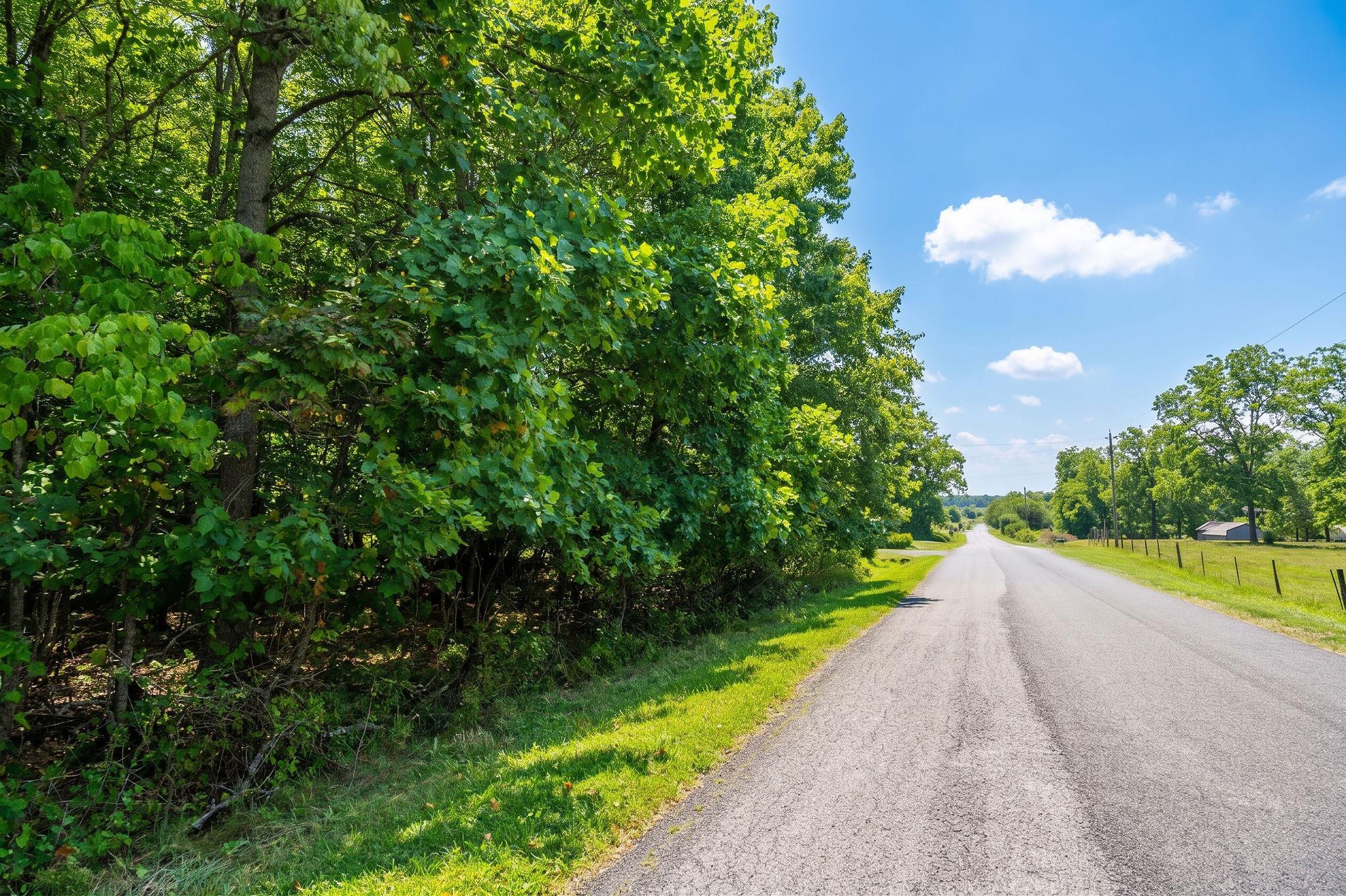 47.8 Acres HORSESHOE CIR, STUARTS DRAFT, Virginia 24477, ,Land,14,47.8 Acres HORSESHOE CIR,681885 MLS # 681885 47.8 Acres HORSESHOE CIR, STUARTS DRAFT, Virginia 24477, ,Land,14,47.8 Acres HORSESHOE CIR,681885 MLS # 681885