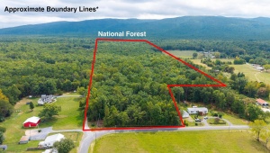 47.8 Acres HORSESHOE CIR, STUARTS DRAFT, Virginia 24477, ,Land,14,47.8 Acres HORSESHOE CIR,681885 MLS # 681885