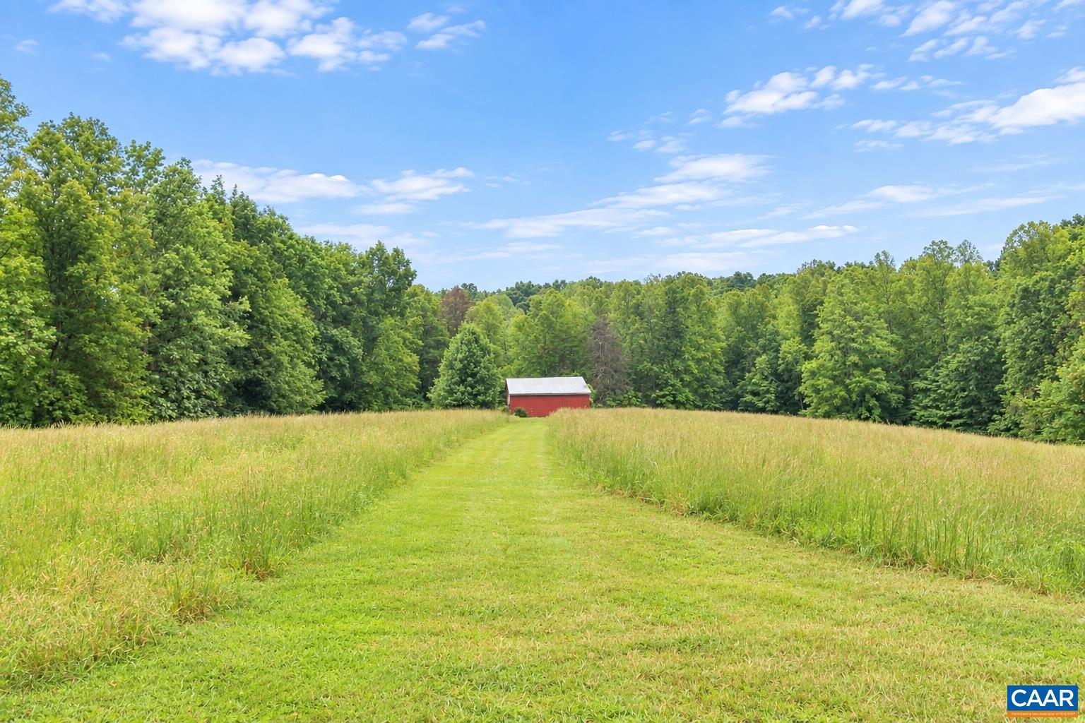 6517 BLENHEIM RD, SCOTTSVILLE, Virginia 24590, ,Farm,14,6517 BLENHEIM RD,681946 MLS # 681946 6517 BLENHEIM RD, SCOTTSVILLE, Virginia 24590, ,Farm,14,6517 BLENHEIM RD,681946 MLS # 681946