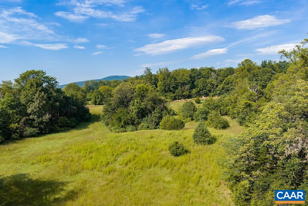 0 SPOTSWOOD TRL, GORDONSVILLE, Virginia 22942, ,Farm,14,0 SPOTSWOOD TRL,681916 MLS # 681916