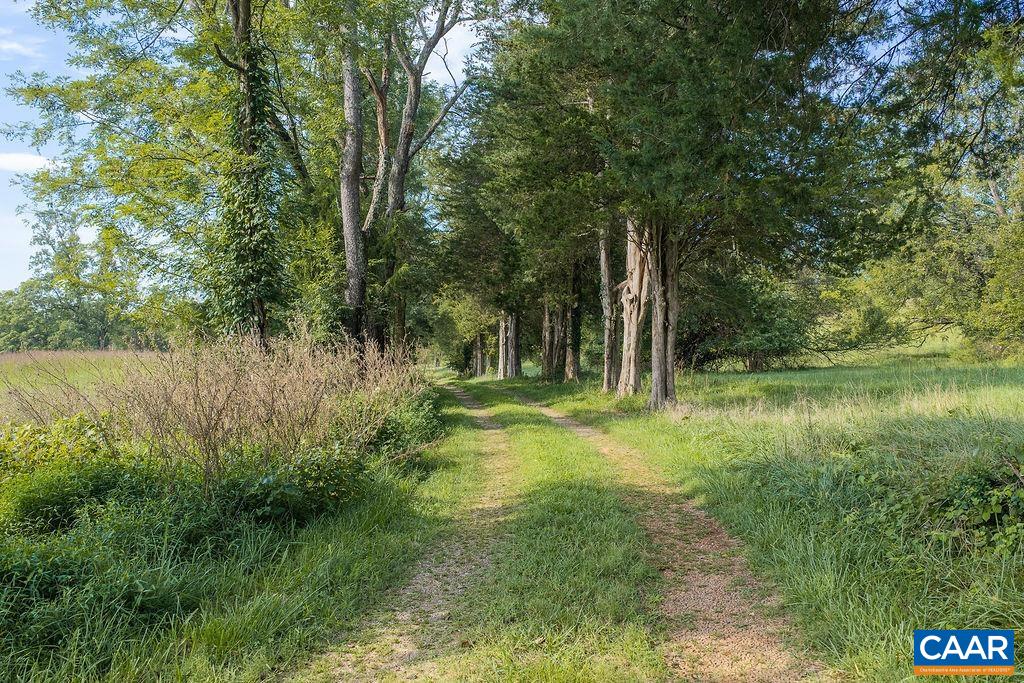 0 SPOTSWOOD TRL, GORDONSVILLE, Virginia 22942, ,Farm,14,0 SPOTSWOOD TRL,681916 MLS # 681916