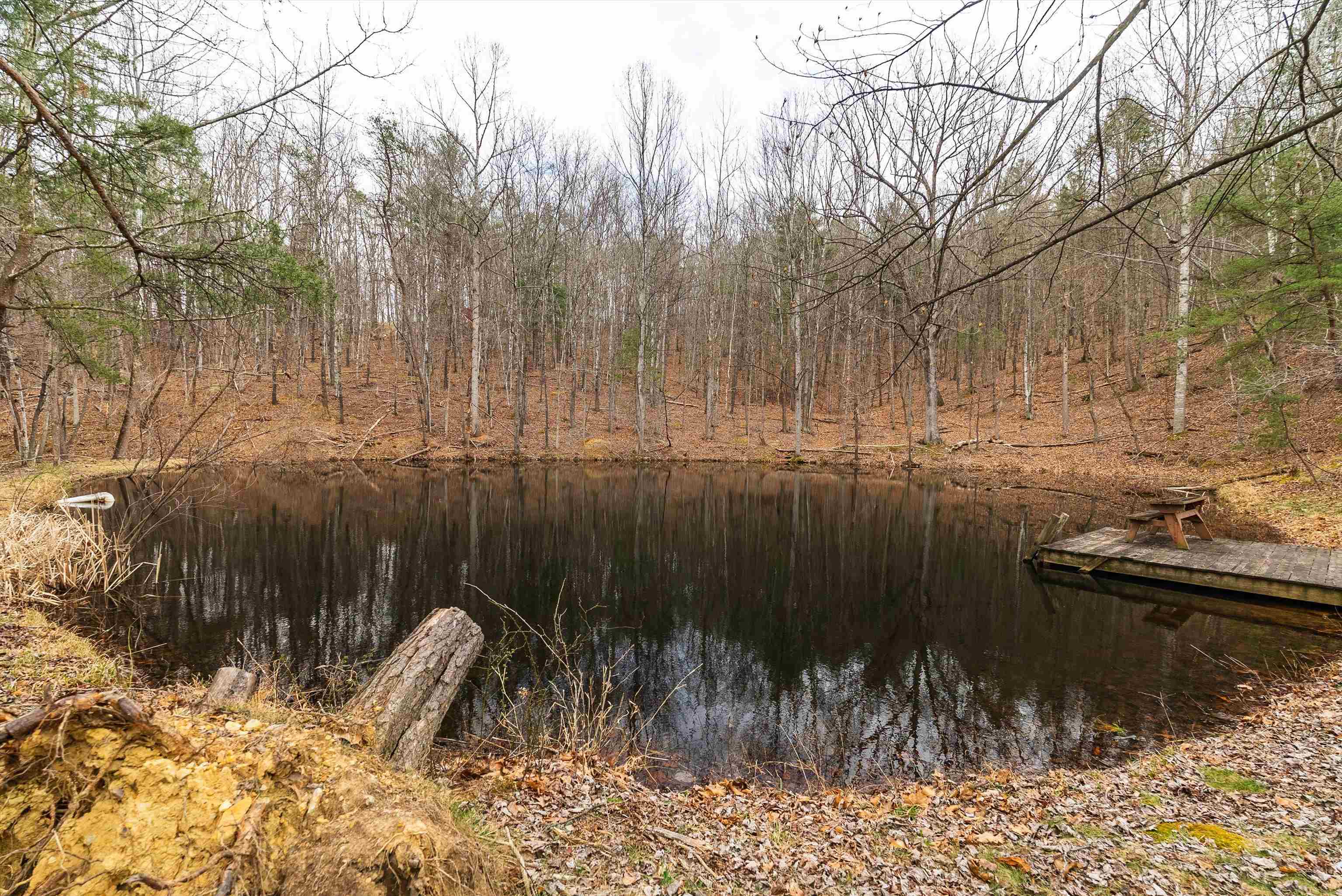 163 acres HOPKINS GAP RD, FULKS RUN, Virginia 22830, ,Farm,14,163 acres HOPKINS GAP RD,675968 MLS # 675968 163 acres HOPKINS GAP RD, FULKS RUN, Virginia 22830, ,Farm,14,163 acres HOPKINS GAP RD,675968 MLS # 675968