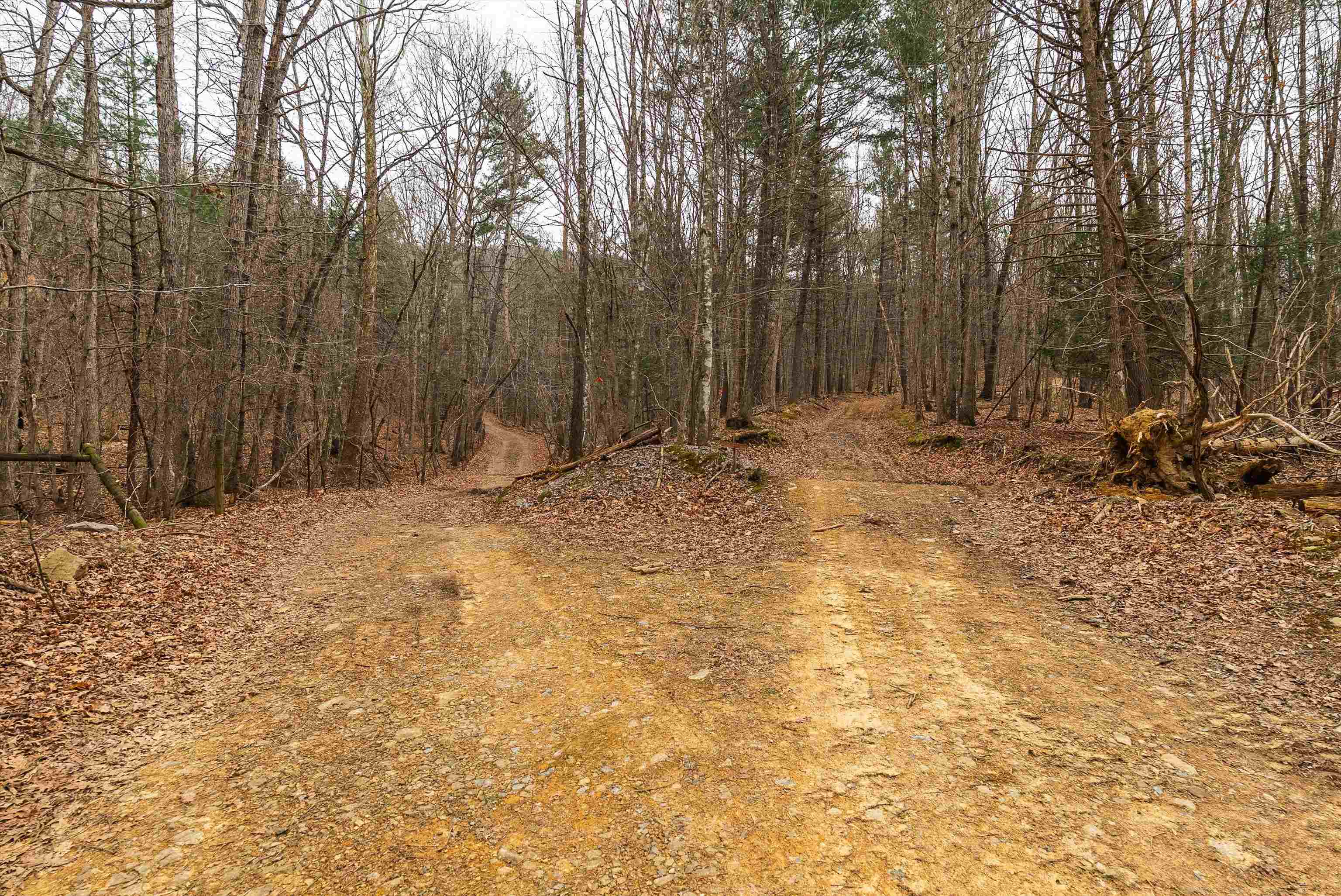 163 acres HOPKINS GAP RD, FULKS RUN, Virginia 22830, ,Farm,14,163 acres HOPKINS GAP RD,675968 MLS # 675968 163 acres HOPKINS GAP RD, FULKS RUN, Virginia 22830, ,Farm,14,163 acres HOPKINS GAP RD,675968 MLS # 675968