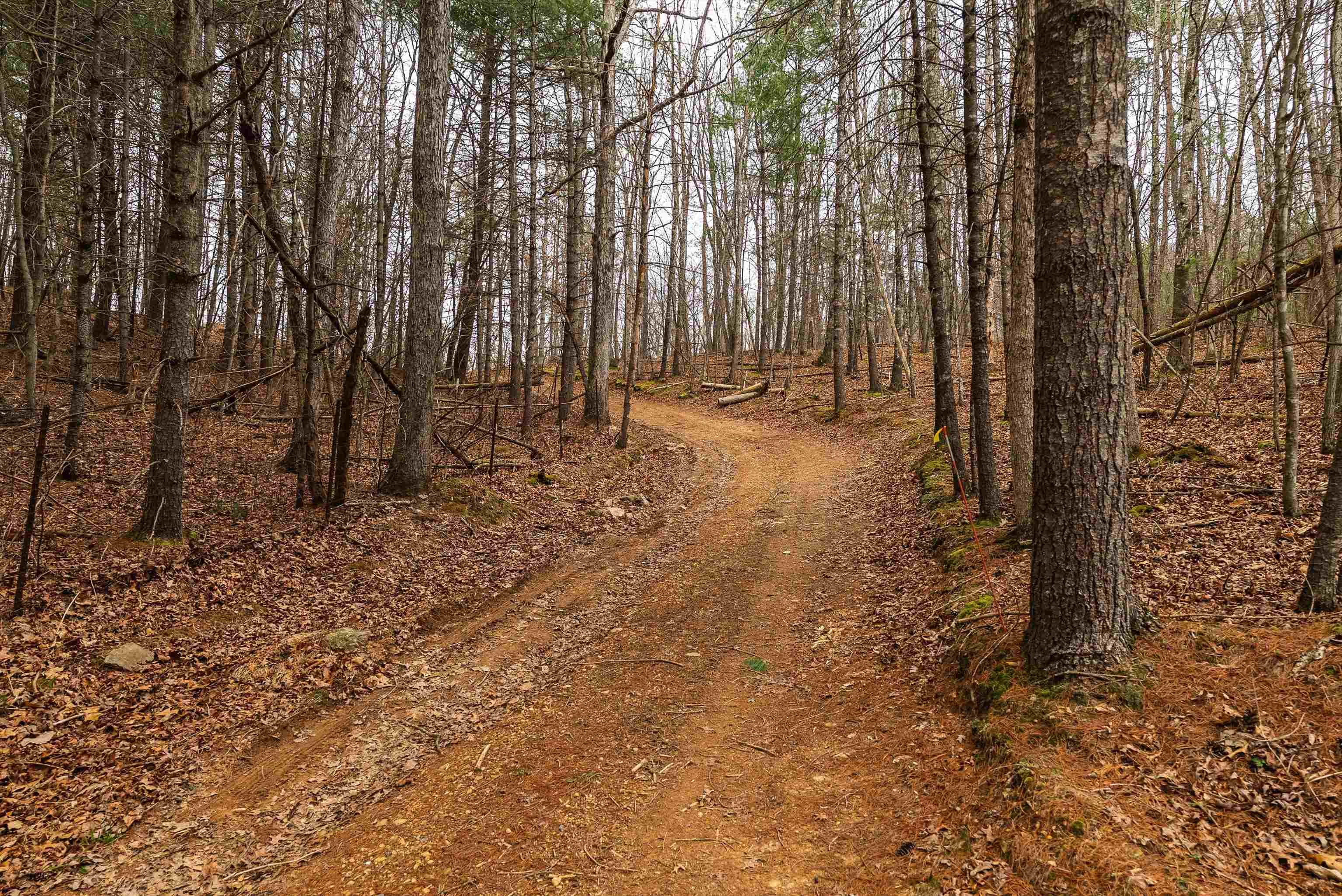 163 acres HOPKINS GAP RD, FULKS RUN, Virginia 22830, ,Farm,14,163 acres HOPKINS GAP RD,675968 MLS # 675968 163 acres HOPKINS GAP RD, FULKS RUN, Virginia 22830, ,Farm,14,163 acres HOPKINS GAP RD,675968 MLS # 675968