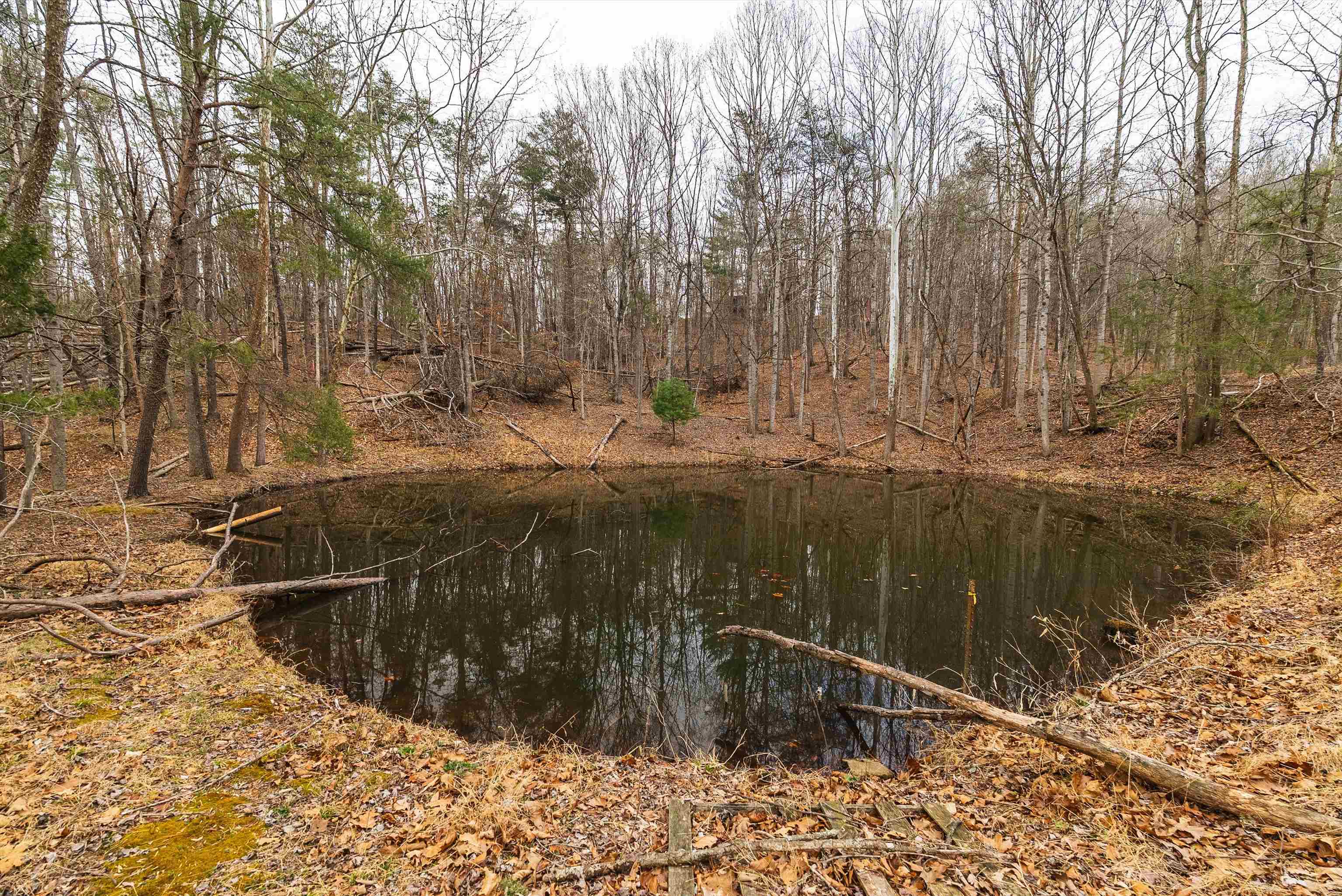 163 acres HOPKINS GAP RD, FULKS RUN, Virginia 22830, ,Farm,14,163 acres HOPKINS GAP RD,675968 MLS # 675968 163 acres HOPKINS GAP RD, FULKS RUN, Virginia 22830, ,Farm,14,163 acres HOPKINS GAP RD,675968 MLS # 675968