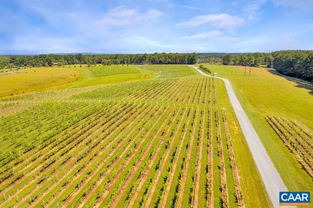 3304A RURITAN LAKE RD, PALMYRA, Virginia 22963, ,Farm,14,3304A RURITAN LAKE RD,645193 MLS # 645193 3304A RURITAN LAKE RD, PALMYRA, Virginia 22963, ,Farm,14,3304A RURITAN LAKE RD,645193 MLS # 645193