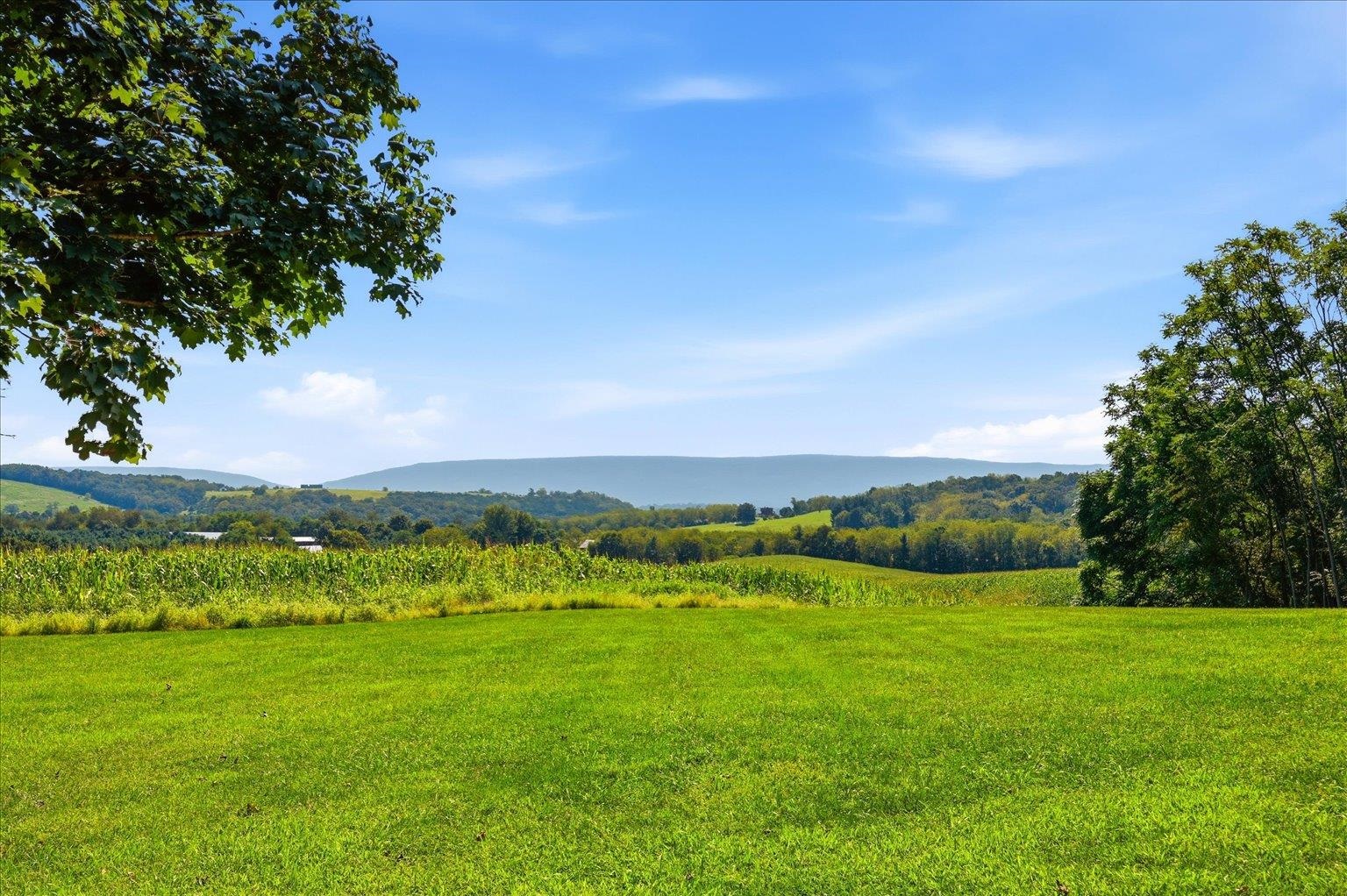 3817 TREASURE HILL LN, TIMBERVILLE, Virginia 22853, 4 Bedrooms Bedrooms, ,4 BathroomsBathrooms,Residential,14,3817 TREASURE HILL LN,681640 MLS # 681640