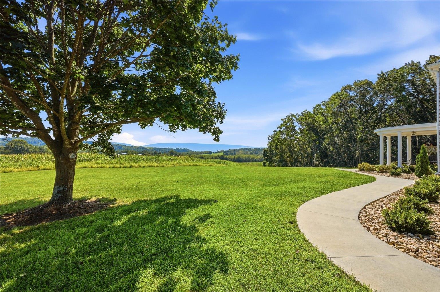 3817 TREASURE HILL LN, TIMBERVILLE, Virginia 22853, 4 Bedrooms Bedrooms, ,4 BathroomsBathrooms,Residential,14,3817 TREASURE HILL LN,681640 MLS # 681640