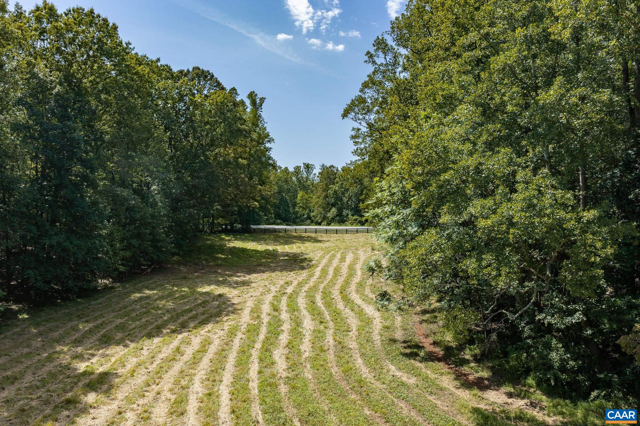 3595 RED HILL RD, CHARLOTTESVILLE, Virginia 22903, 4 Bedrooms Bedrooms, ,2 BathroomsBathrooms,Residential,14,3595 RED HILL RD,681536 MLS # 681536 3595 RED HILL RD, CHARLOTTESVILLE, Virginia 22903, 4 Bedrooms Bedrooms, ,2 BathroomsBathrooms,Residential,14,3595 RED HILL RD,681536 MLS # 681536