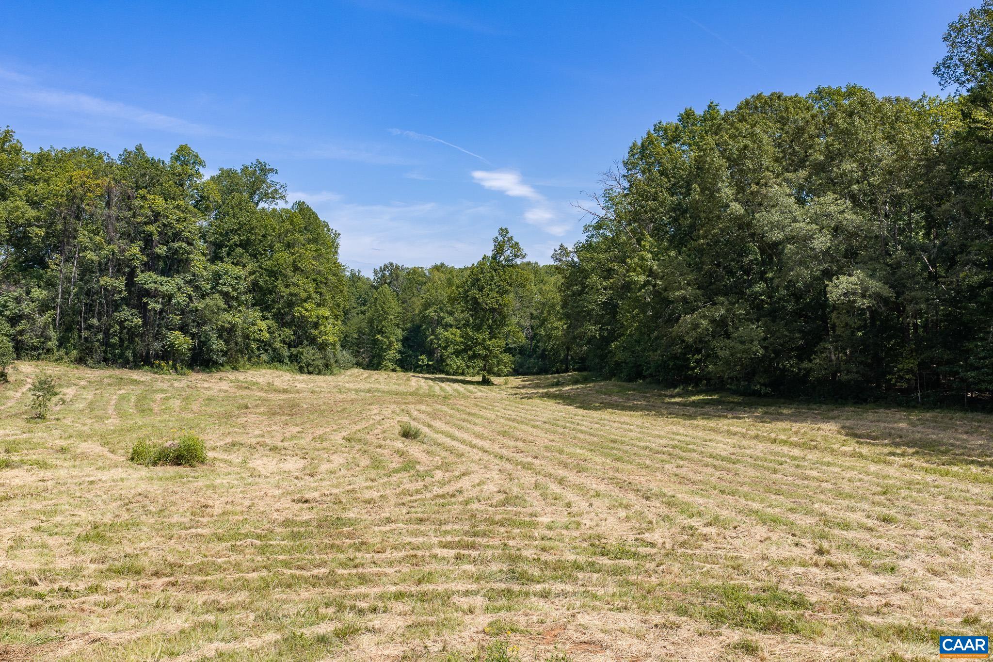 3595 RED HILL RD, CHARLOTTESVILLE, Virginia 22903, 4 Bedrooms Bedrooms, ,2 BathroomsBathrooms,Residential,14,3595 RED HILL RD,681536 MLS # 681536 3595 RED HILL RD, CHARLOTTESVILLE, Virginia 22903, 4 Bedrooms Bedrooms, ,2 BathroomsBathrooms,Residential,14,3595 RED HILL RD,681536 MLS # 681536