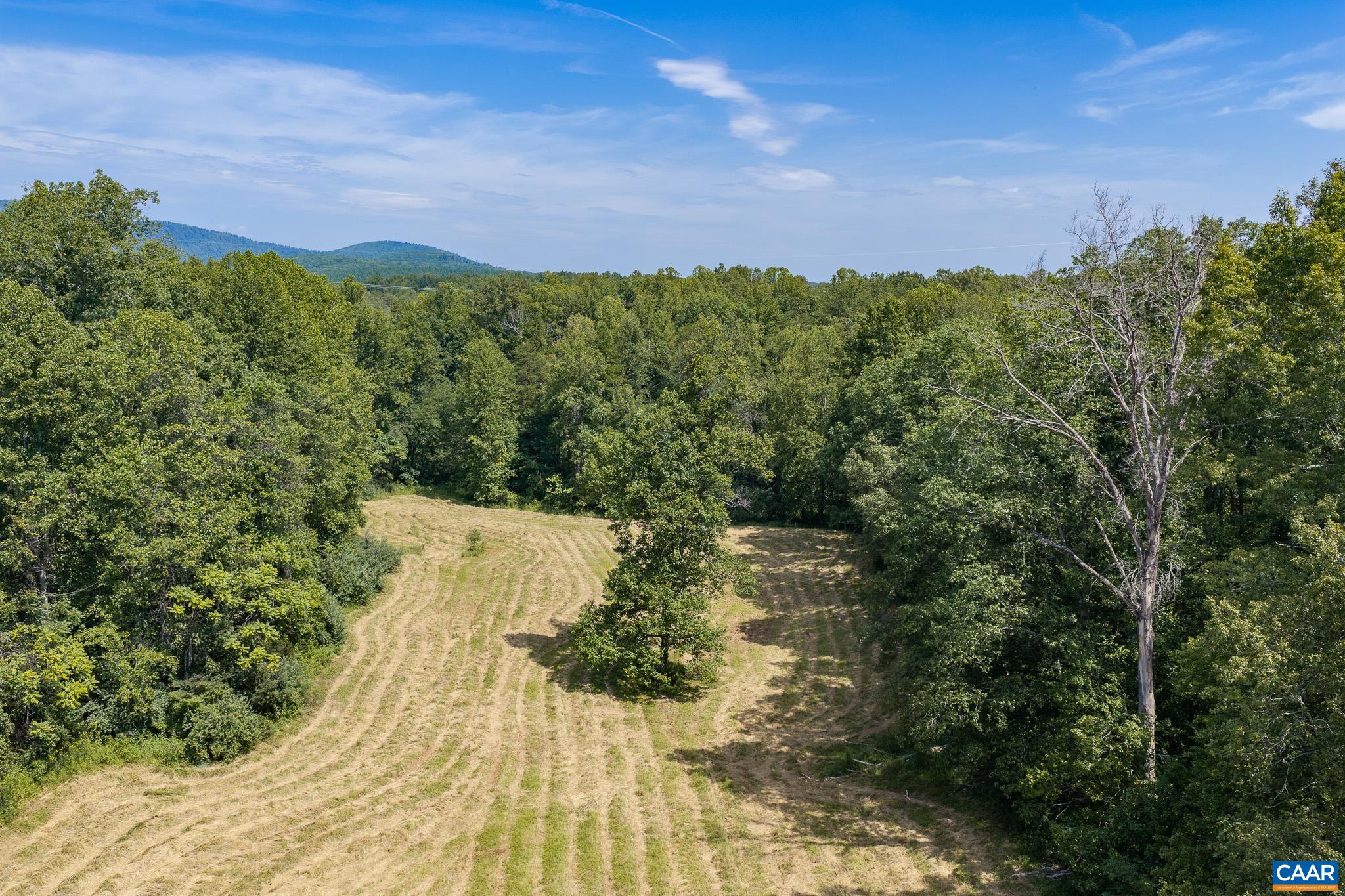 3595 RED HILL RD, CHARLOTTESVILLE, Virginia 22903, 4 Bedrooms Bedrooms, ,2 BathroomsBathrooms,Residential,14,3595 RED HILL RD,681536 MLS # 681536 3595 RED HILL RD, CHARLOTTESVILLE, Virginia 22903, 4 Bedrooms Bedrooms, ,2 BathroomsBathrooms,Residential,14,3595 RED HILL RD,681536 MLS # 681536