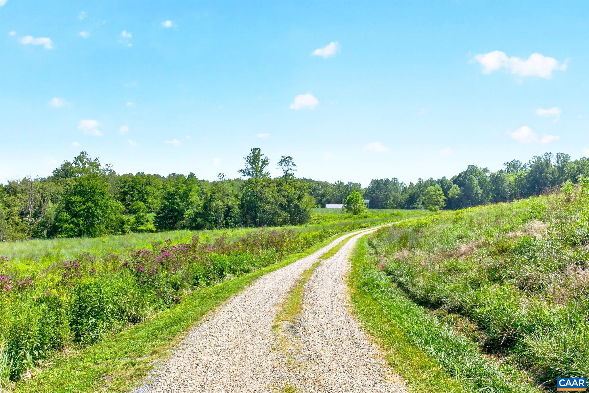 275 MILLER SCHOOL RD, CHARLOTTESVILLE, Virginia 22903, 5 Bedrooms Bedrooms, ,4 BathroomsBathrooms,Residential,14,275 MILLER SCHOOL RD,681363 MLS # 681363