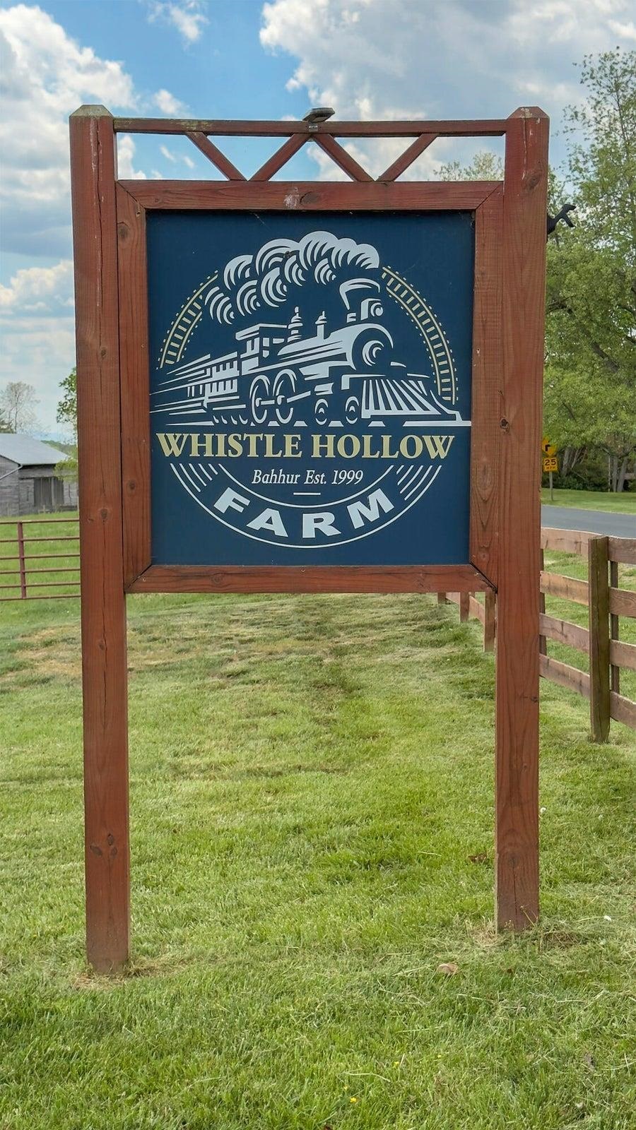 65 &amp; 190 WHISTLE HOLLOW LN, FAIRFIELD, Virginia 24435, 4 Bedrooms Bedrooms, ,3 BathroomsBathrooms,Residential,14,65 &amp; 190 WHISTLE HOLLOW LN,678959 MLS # 678959