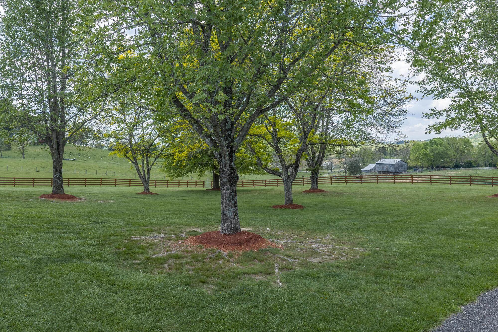 65 &amp; 190 WHISTLE HOLLOW LN, FAIRFIELD, Virginia 24435, 4 Bedrooms Bedrooms, ,3 BathroomsBathrooms,Residential,14,65 &amp; 190 WHISTLE HOLLOW LN,678959 MLS # 678959