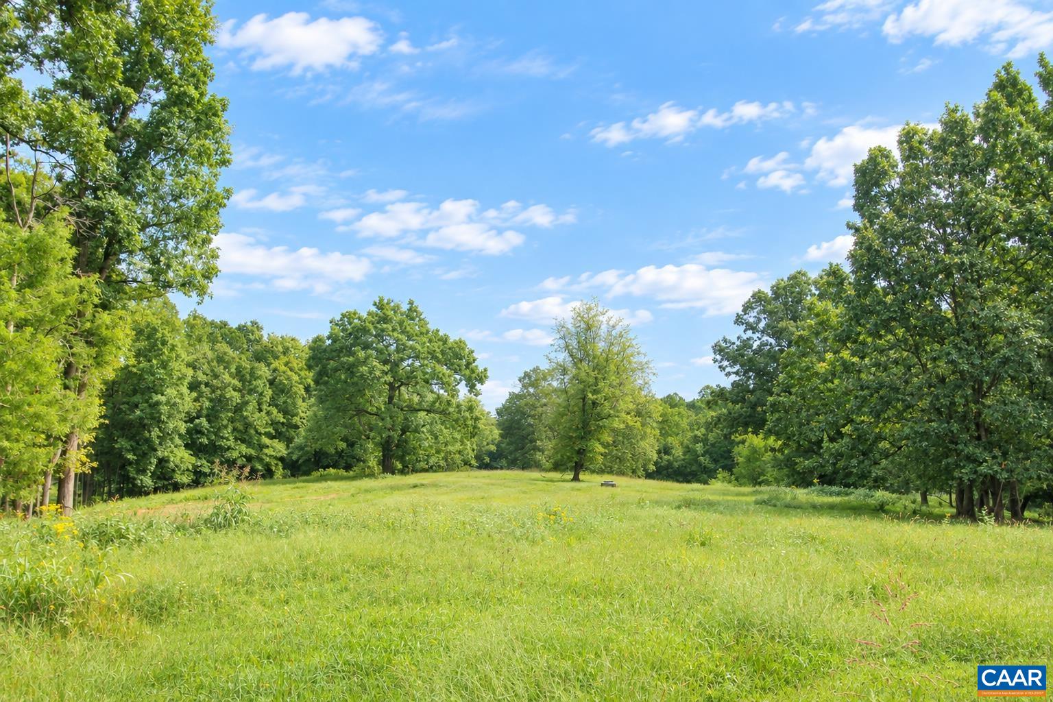 6639 BLENHEIM RD, SCOTTSVILLE, Virginia 24590, 8 Bedrooms Bedrooms, ,6 BathroomsBathrooms,Residential,14,6639 BLENHEIM RD,681945 MLS # 681945