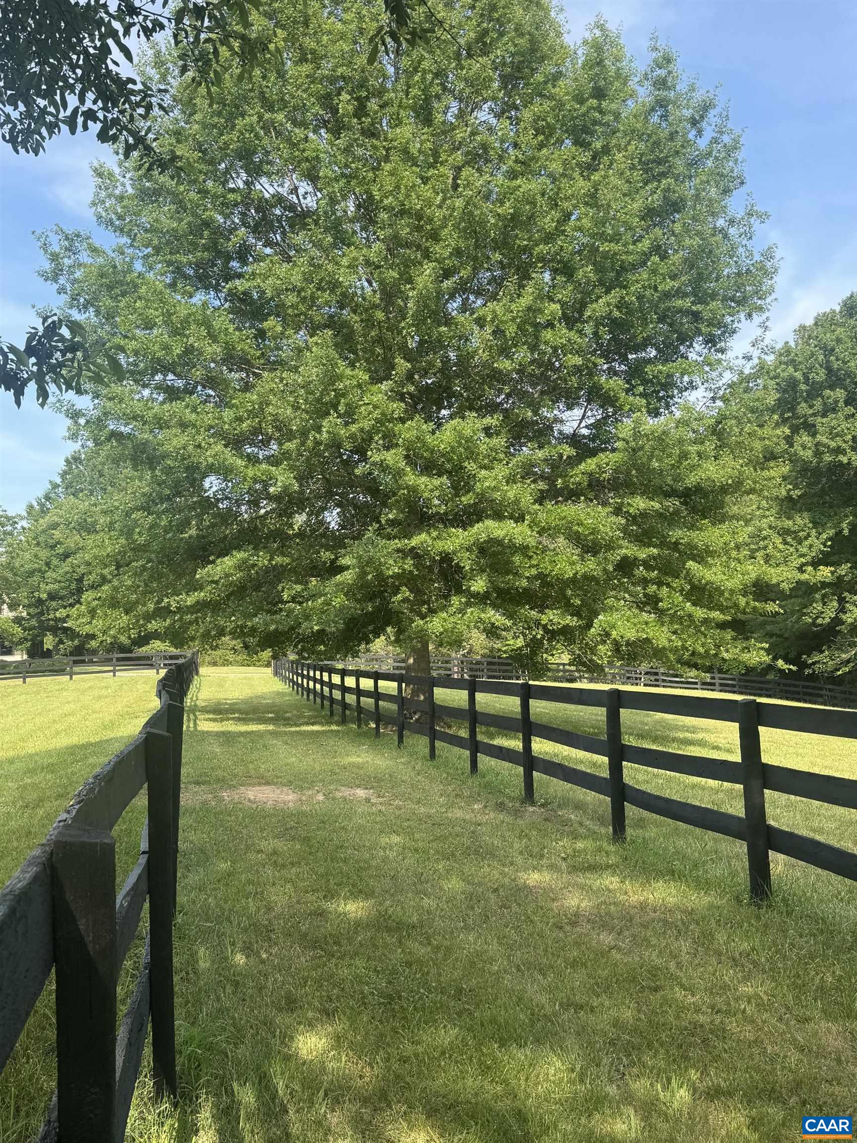5362 BREAK HEART RD, CROZET, Virginia 22932, 4 Bedrooms Bedrooms, ,2 BathroomsBathrooms,Residential,14,5362 BREAK HEART RD,678211 MLS # 678211 5362 BREAK HEART RD, CROZET, Virginia 22932, 4 Bedrooms Bedrooms, ,2 BathroomsBathrooms,Residential,14,5362 BREAK HEART RD,678211 MLS # 678211