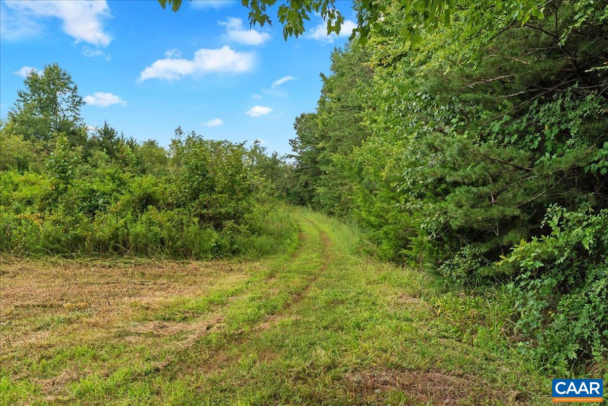 610 LOCKETT RD, RICE, Virginia 23966, 7 Bedrooms Bedrooms, ,5 BathroomsBathrooms,Residential,14,610 LOCKETT RD,681842 MLS # 681842 610 LOCKETT RD, RICE, Virginia 23966, 7 Bedrooms Bedrooms, ,5 BathroomsBathrooms,Residential,14,610 LOCKETT RD,681842 MLS # 681842