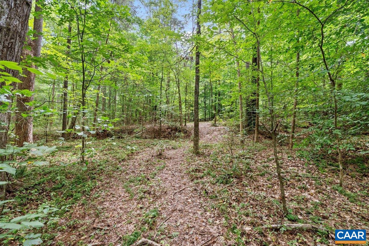610 LOCKETT RD, RICE, Virginia 23966, 7 Bedrooms Bedrooms, ,5 BathroomsBathrooms,Residential,14,610 LOCKETT RD,681842 MLS # 681842 610 LOCKETT RD, RICE, Virginia 23966, 7 Bedrooms Bedrooms, ,5 BathroomsBathrooms,Residential,14,610 LOCKETT RD,681842 MLS # 681842