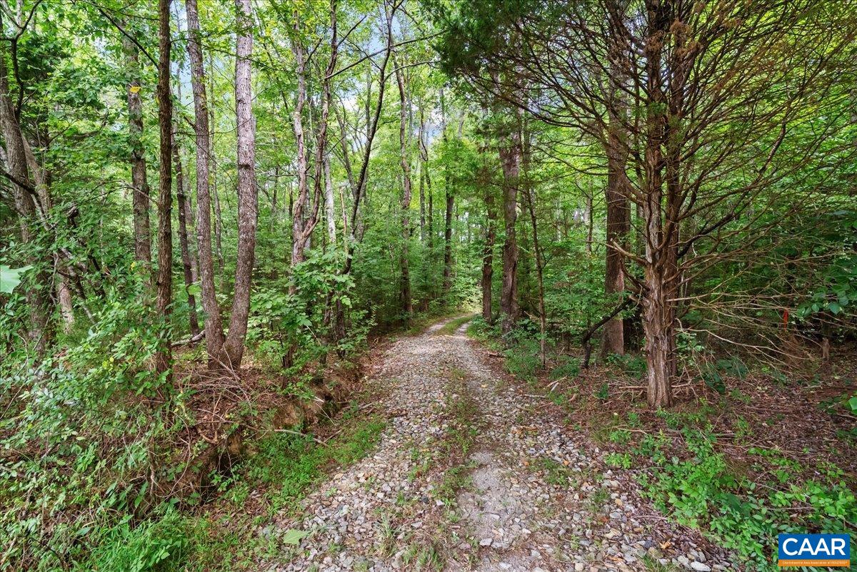 610 LOCKETT RD, RICE, Virginia 23966, 7 Bedrooms Bedrooms, ,5 BathroomsBathrooms,Residential,14,610 LOCKETT RD,681842 MLS # 681842 610 LOCKETT RD, RICE, Virginia 23966, 7 Bedrooms Bedrooms, ,5 BathroomsBathrooms,Residential,14,610 LOCKETT RD,681842 MLS # 681842