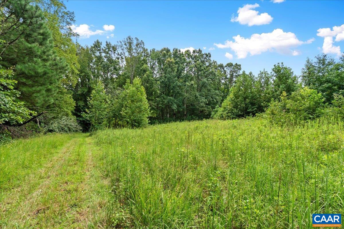 610 LOCKETT RD, RICE, Virginia 23966, 7 Bedrooms Bedrooms, ,5 BathroomsBathrooms,Residential,14,610 LOCKETT RD,681842 MLS # 681842 610 LOCKETT RD, RICE, Virginia 23966, 7 Bedrooms Bedrooms, ,5 BathroomsBathrooms,Residential,14,610 LOCKETT RD,681842 MLS # 681842