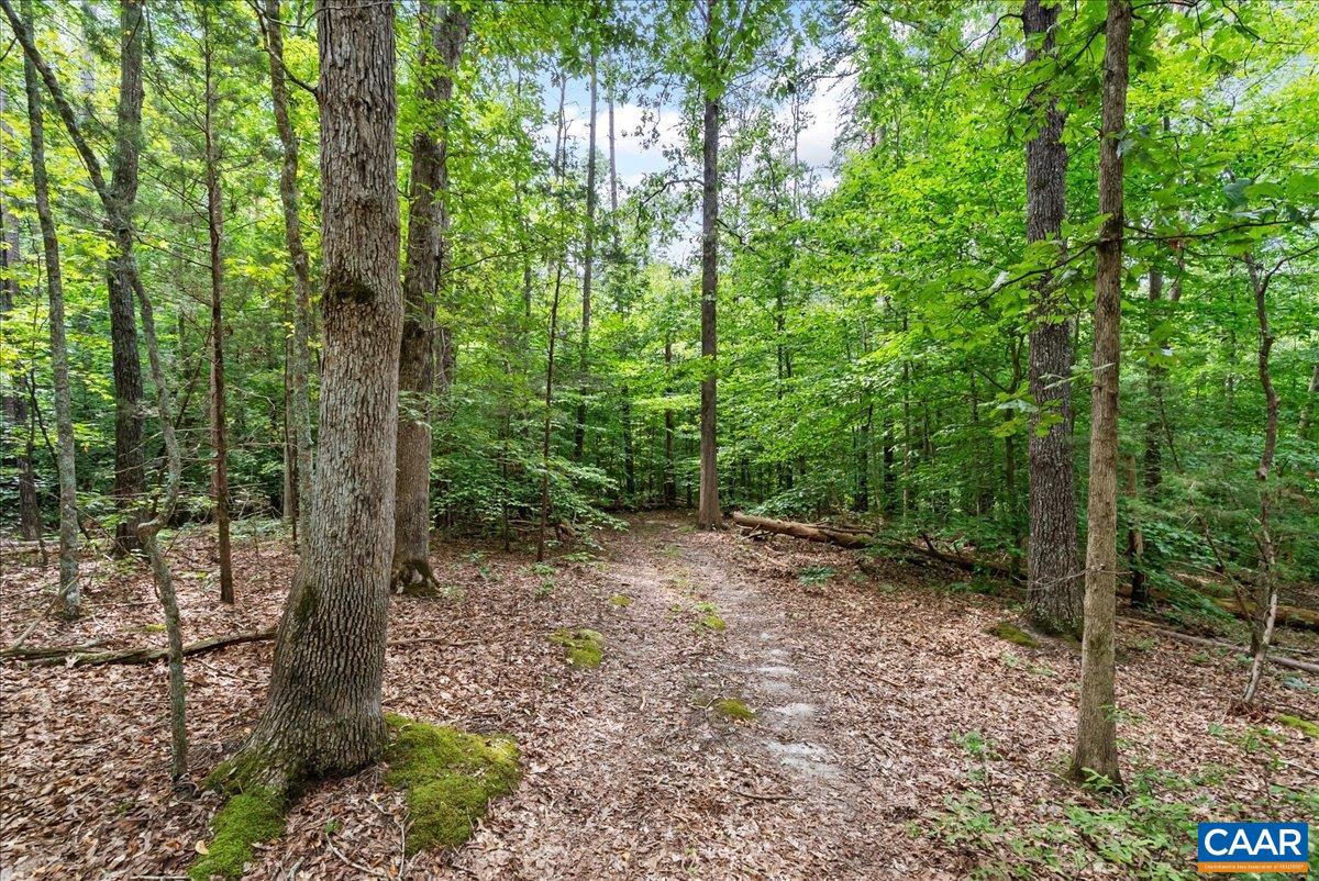 610 LOCKETT RD, RICE, Virginia 23966, 7 Bedrooms Bedrooms, ,5 BathroomsBathrooms,Residential,14,610 LOCKETT RD,681842 MLS # 681842 610 LOCKETT RD, RICE, Virginia 23966, 7 Bedrooms Bedrooms, ,5 BathroomsBathrooms,Residential,14,610 LOCKETT RD,681842 MLS # 681842