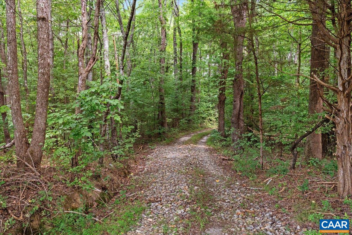 610 LOCKETT RD, RICE, Virginia 23966, 7 Bedrooms Bedrooms, ,5 BathroomsBathrooms,Residential,14,610 LOCKETT RD,681842 MLS # 681842 610 LOCKETT RD, RICE, Virginia 23966, 7 Bedrooms Bedrooms, ,5 BathroomsBathrooms,Residential,14,610 LOCKETT RD,681842 MLS # 681842