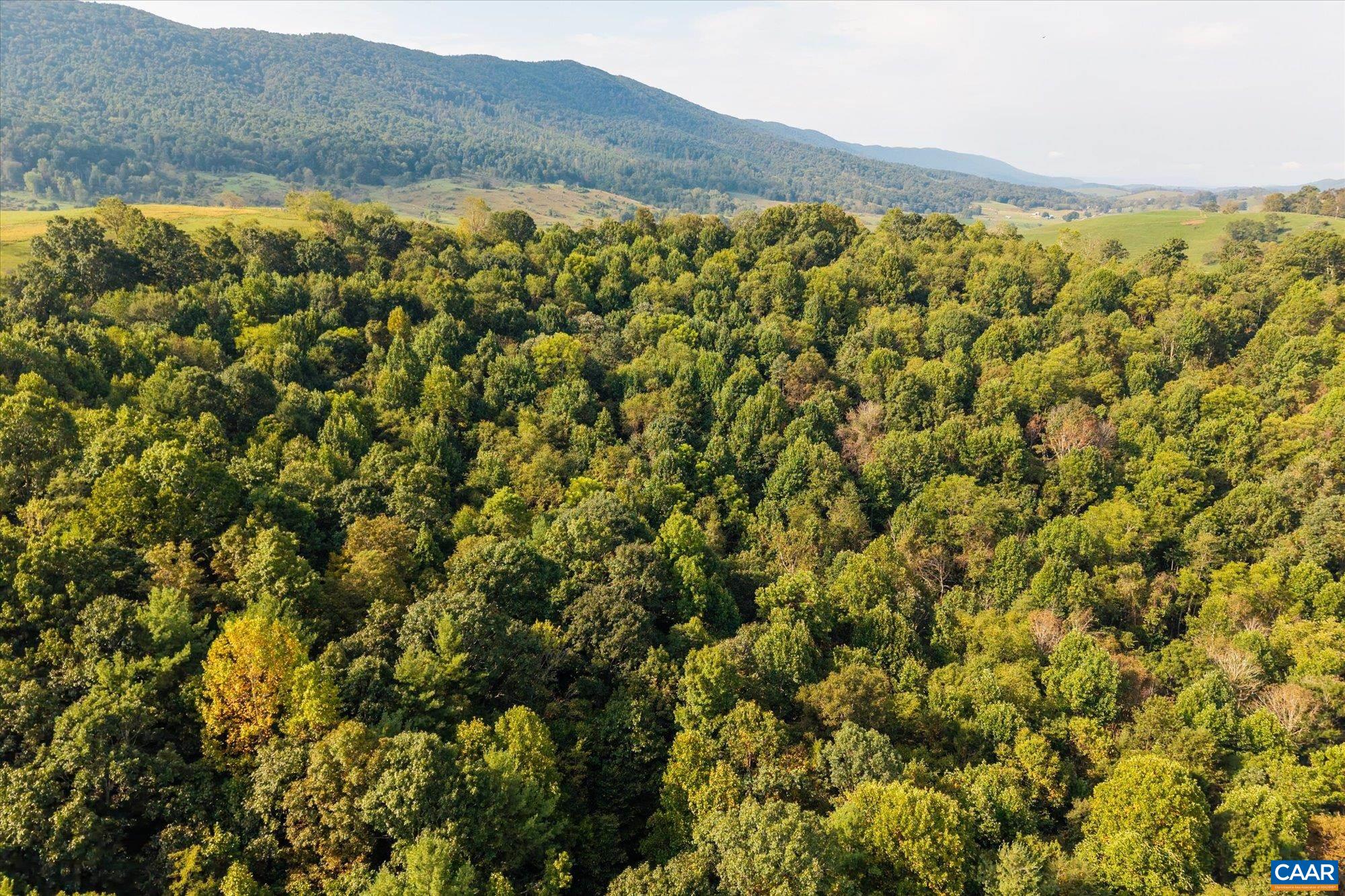 964 CRYSTAL SPRINGS DR, BLAND, Virginia 24315, 5 Bedrooms Bedrooms, ,2 BathroomsBathrooms,Residential,14,964 CRYSTAL SPRINGS DR,682373 MLS # 682373 964 CRYSTAL SPRINGS DR, BLAND, Virginia 24315, 5 Bedrooms Bedrooms, ,2 BathroomsBathrooms,Residential,14,964 CRYSTAL SPRINGS DR,682373 MLS # 682373