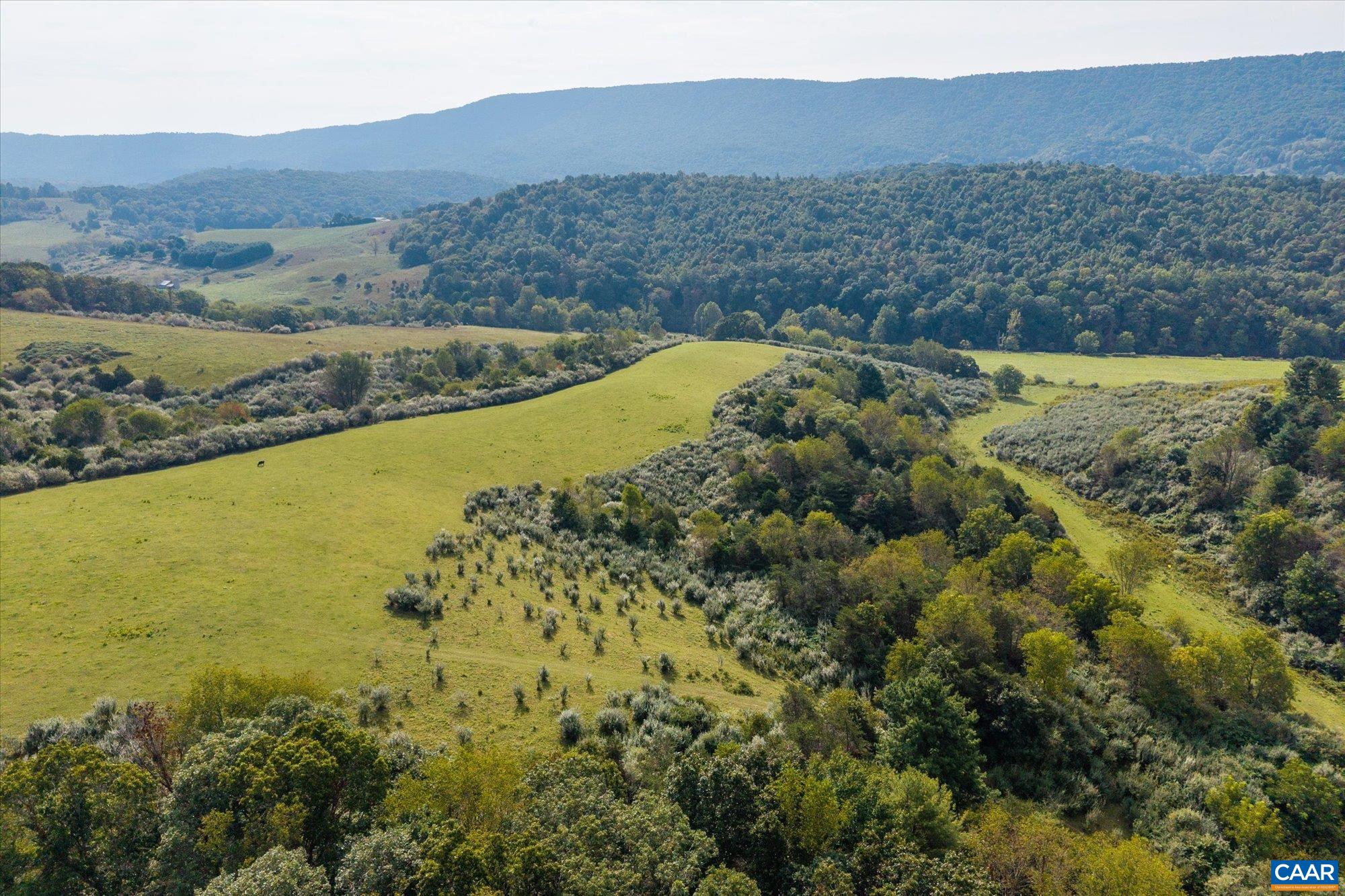 964 CRYSTAL SPRINGS DR, BLAND, Virginia 24315, 5 Bedrooms Bedrooms, ,2 BathroomsBathrooms,Residential,14,964 CRYSTAL SPRINGS DR,682373 MLS # 682373 964 CRYSTAL SPRINGS DR, BLAND, Virginia 24315, 5 Bedrooms Bedrooms, ,2 BathroomsBathrooms,Residential,14,964 CRYSTAL SPRINGS DR,682373 MLS # 682373