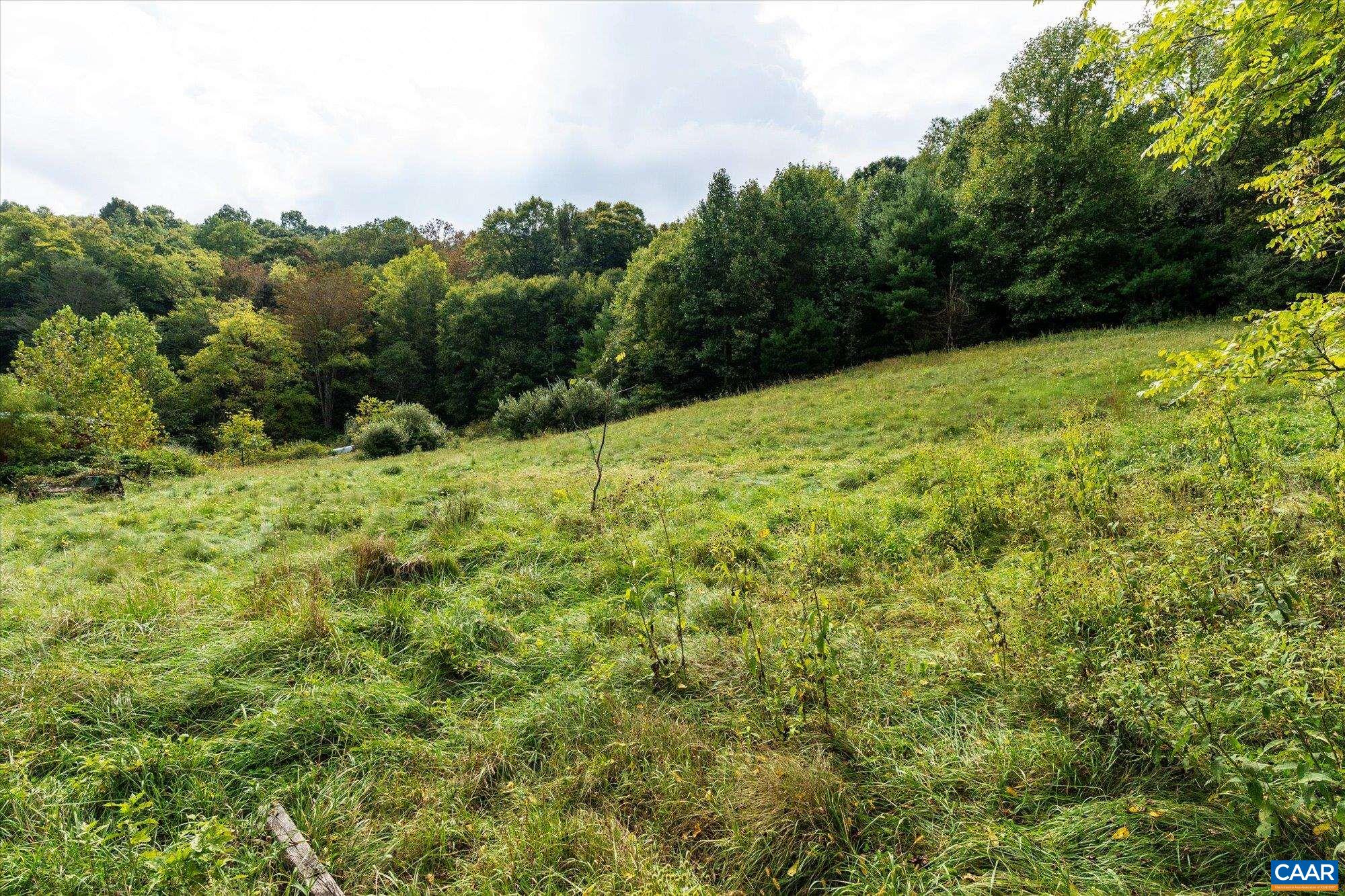964 CRYSTAL SPRINGS DR, BLAND, Virginia 24315, 5 Bedrooms Bedrooms, ,2 BathroomsBathrooms,Residential,14,964 CRYSTAL SPRINGS DR,682373 MLS # 682373 964 CRYSTAL SPRINGS DR, BLAND, Virginia 24315, 5 Bedrooms Bedrooms, ,2 BathroomsBathrooms,Residential,14,964 CRYSTAL SPRINGS DR,682373 MLS # 682373