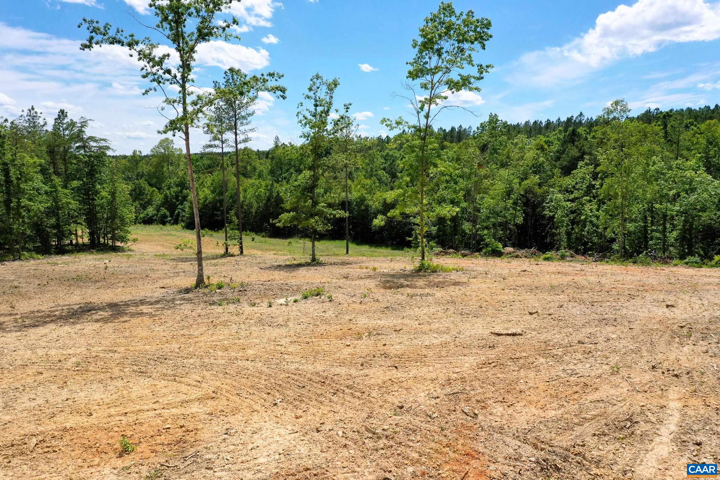 0 MT ALTO RD, ESMONT, Virginia 22937, ,Land,14,0 MT ALTO RD,678787 MLS # 678787 0 MT ALTO RD, ESMONT, Virginia 22937, ,Land,14,0 MT ALTO RD,678787 MLS # 678787