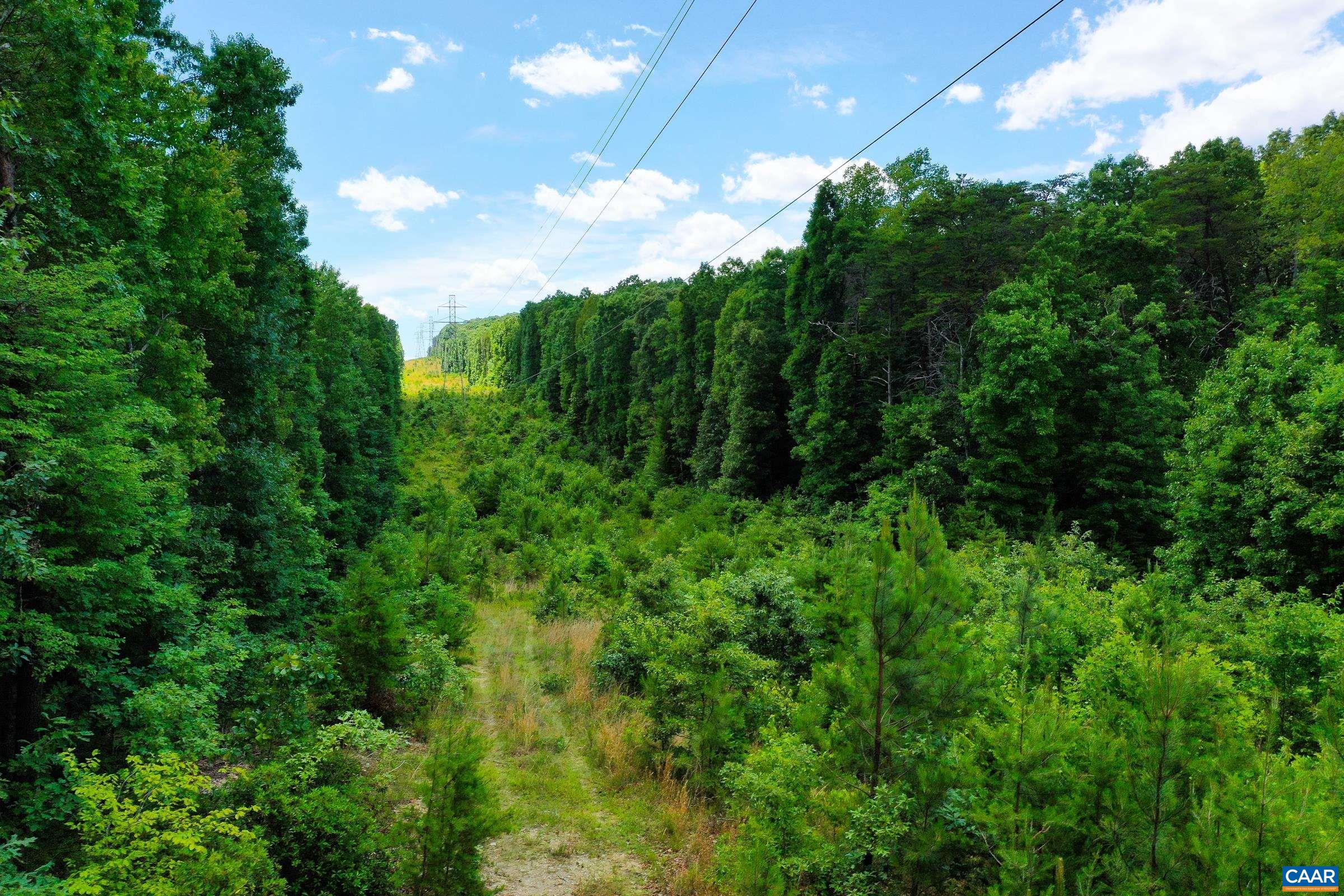 0 MT ALTO RD, ESMONT, Virginia 22937, ,Land,14,0 MT ALTO RD,678787 MLS # 678787 0 MT ALTO RD, ESMONT, Virginia 22937, ,Land,14,0 MT ALTO RD,678787 MLS # 678787