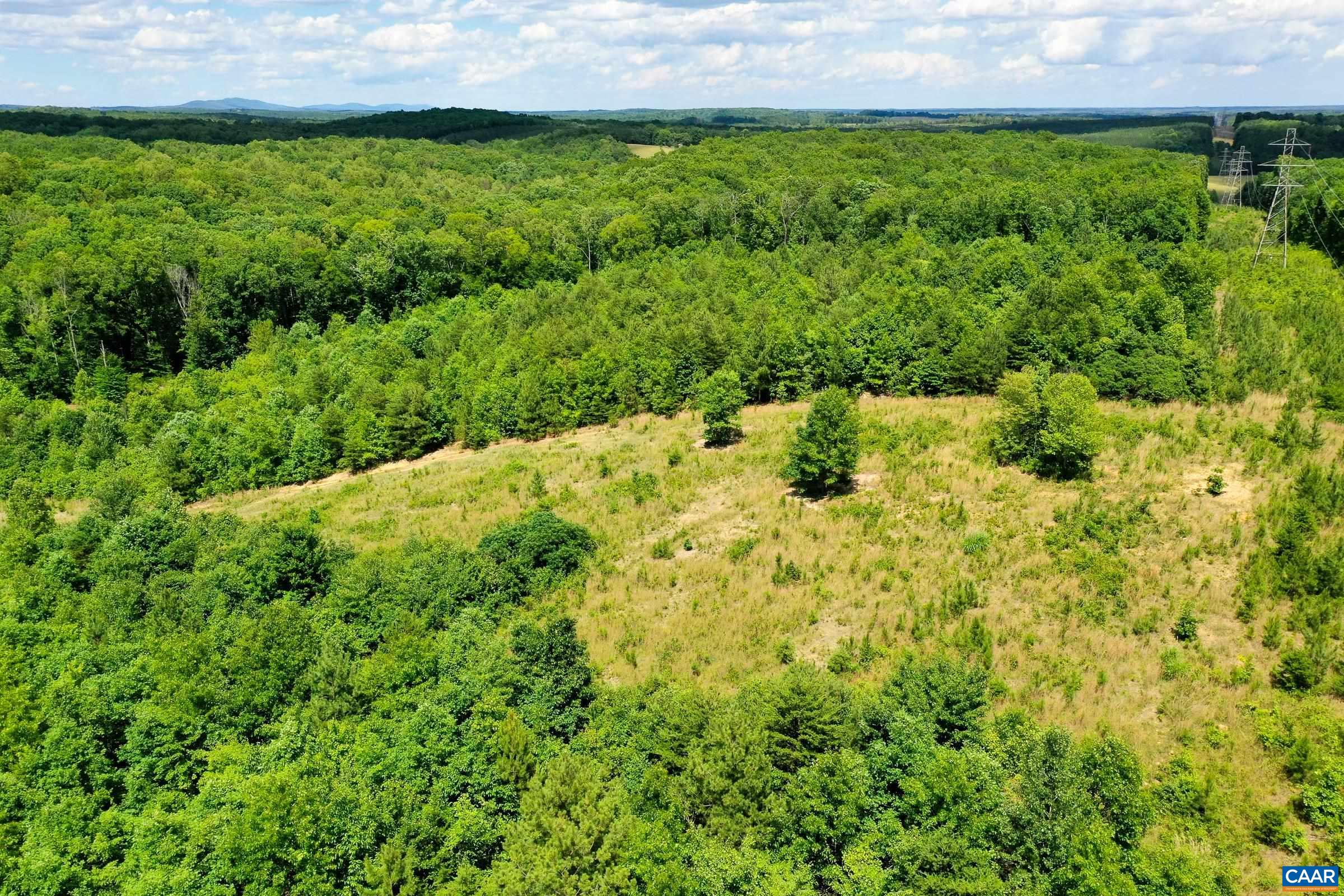 0 MT ALTO RD, ESMONT, Virginia 22937, ,Land,14,0 MT ALTO RD,678787 MLS # 678787 0 MT ALTO RD, ESMONT, Virginia 22937, ,Land,14,0 MT ALTO RD,678787 MLS # 678787