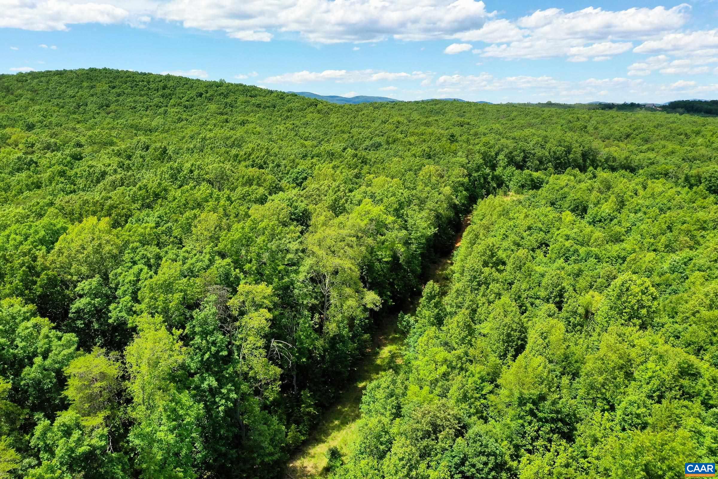 0 MT ALTO RD, ESMONT, Virginia 22937, ,Land,14,0 MT ALTO RD,678787 MLS # 678787 0 MT ALTO RD, ESMONT, Virginia 22937, ,Land,14,0 MT ALTO RD,678787 MLS # 678787