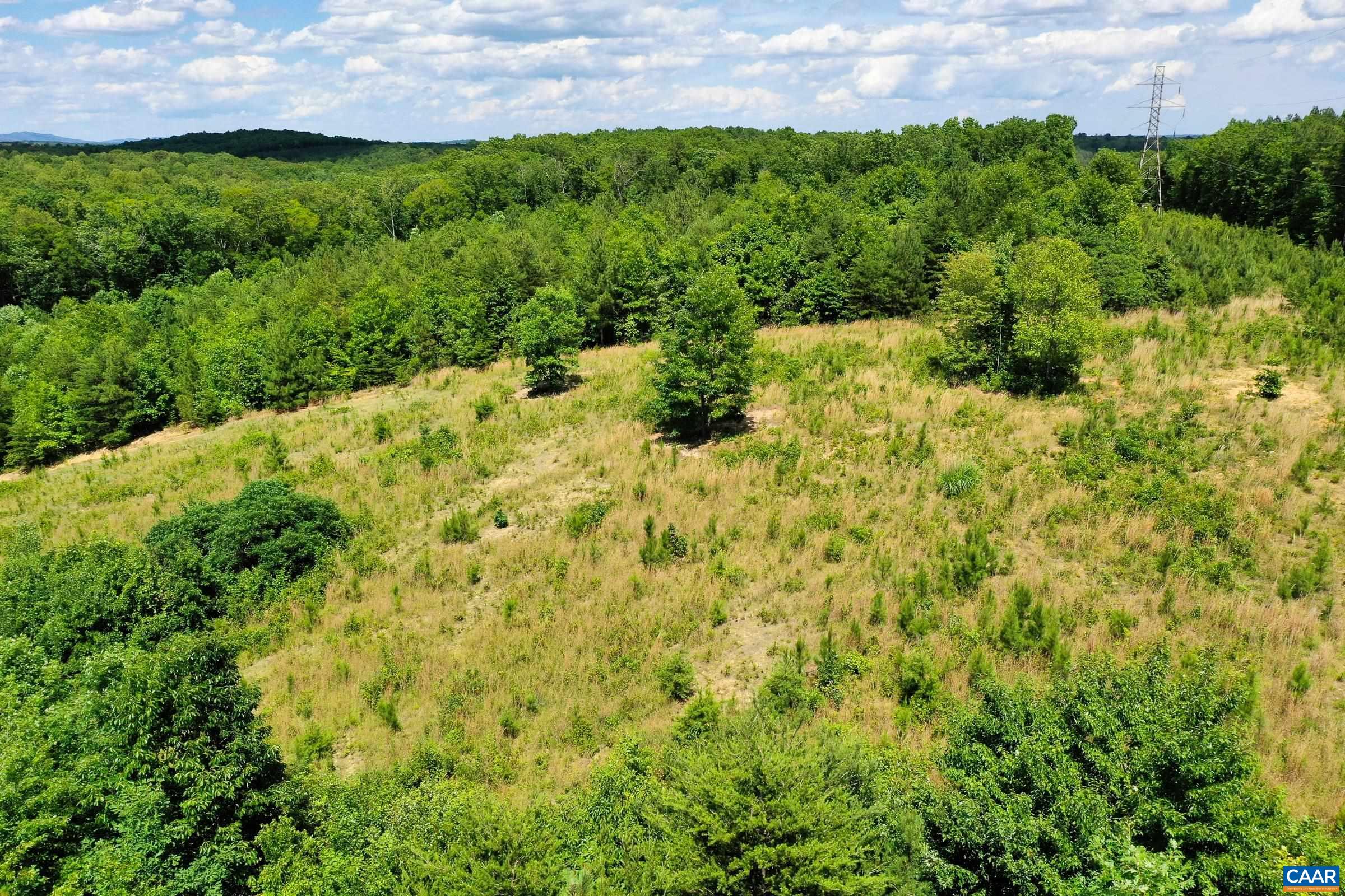 0 MT ALTO RD, ESMONT, Virginia 22937, ,Land,14,0 MT ALTO RD,678787 MLS # 678787 0 MT ALTO RD, ESMONT, Virginia 22937, ,Land,14,0 MT ALTO RD,678787 MLS # 678787
