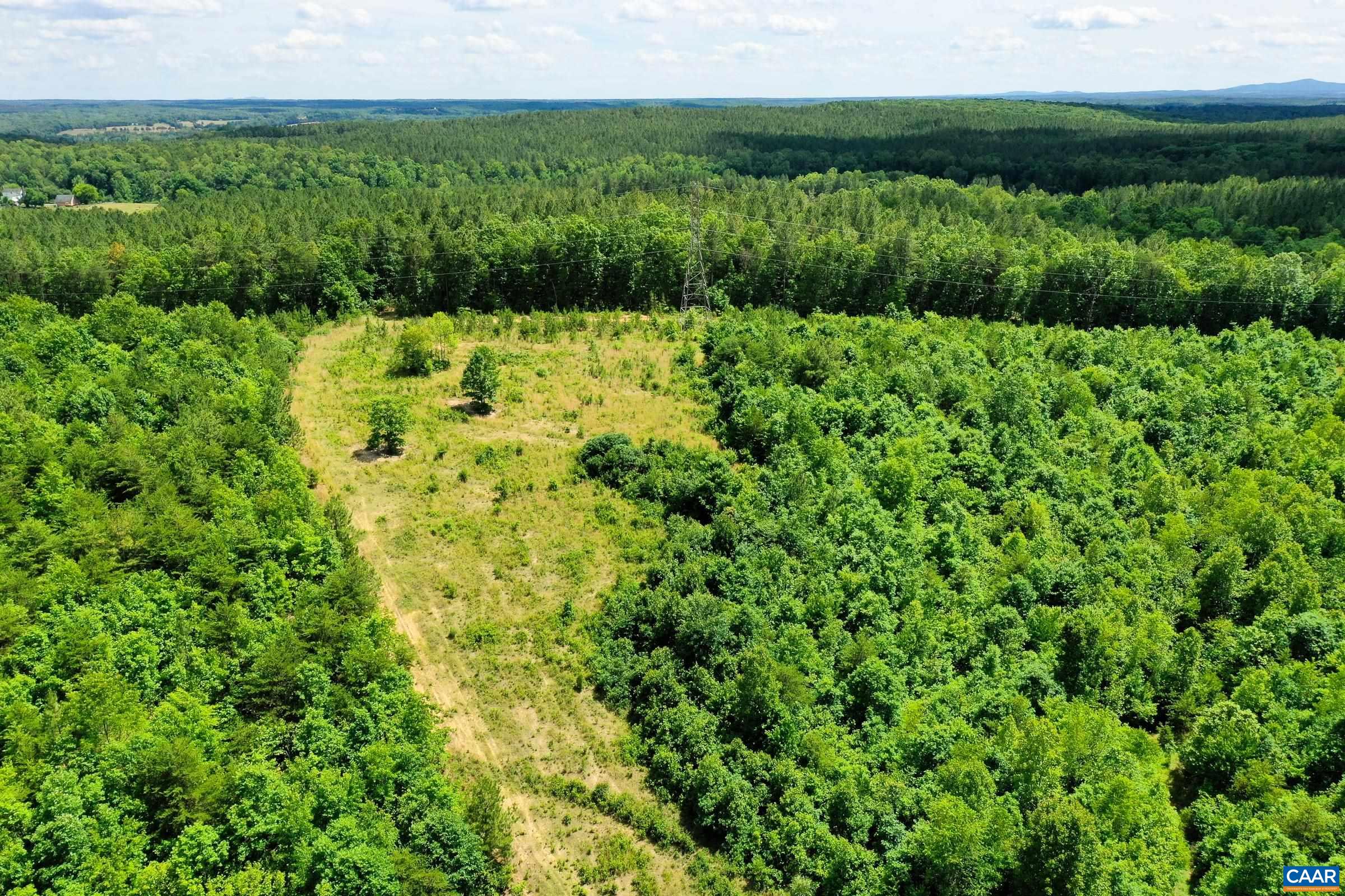 0 MT ALTO RD, ESMONT, Virginia 22937, ,Land,14,0 MT ALTO RD,678787 MLS # 678787 0 MT ALTO RD, ESMONT, Virginia 22937, ,Land,14,0 MT ALTO RD,678787 MLS # 678787