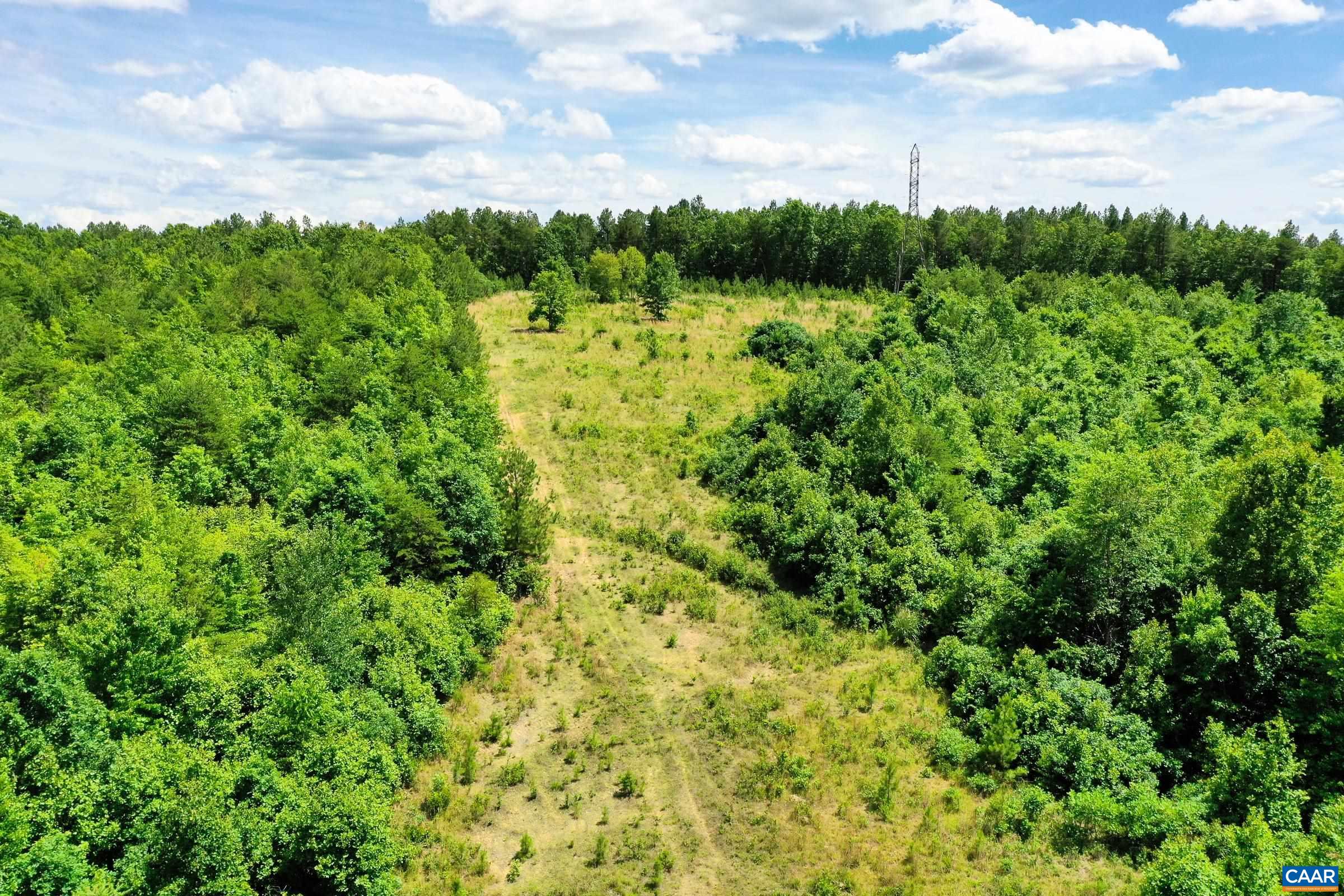 0 MT ALTO RD, ESMONT, Virginia 22937, ,Land,14,0 MT ALTO RD,678787 MLS # 678787 0 MT ALTO RD, ESMONT, Virginia 22937, ,Land,14,0 MT ALTO RD,678787 MLS # 678787
