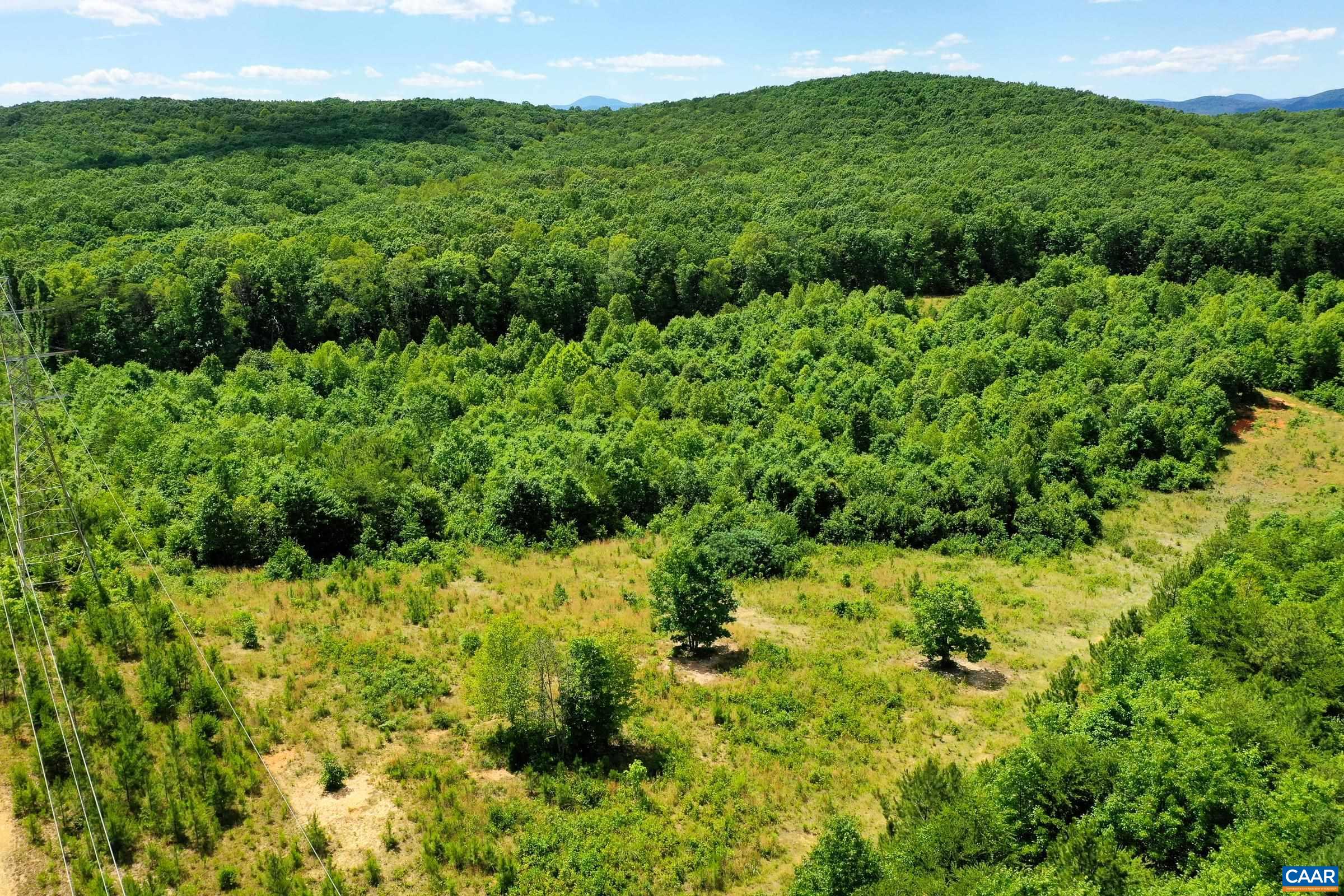 0 MT ALTO RD, ESMONT, Virginia 22937, ,Land,14,0 MT ALTO RD,678787 MLS # 678787 0 MT ALTO RD, ESMONT, Virginia 22937, ,Land,14,0 MT ALTO RD,678787 MLS # 678787