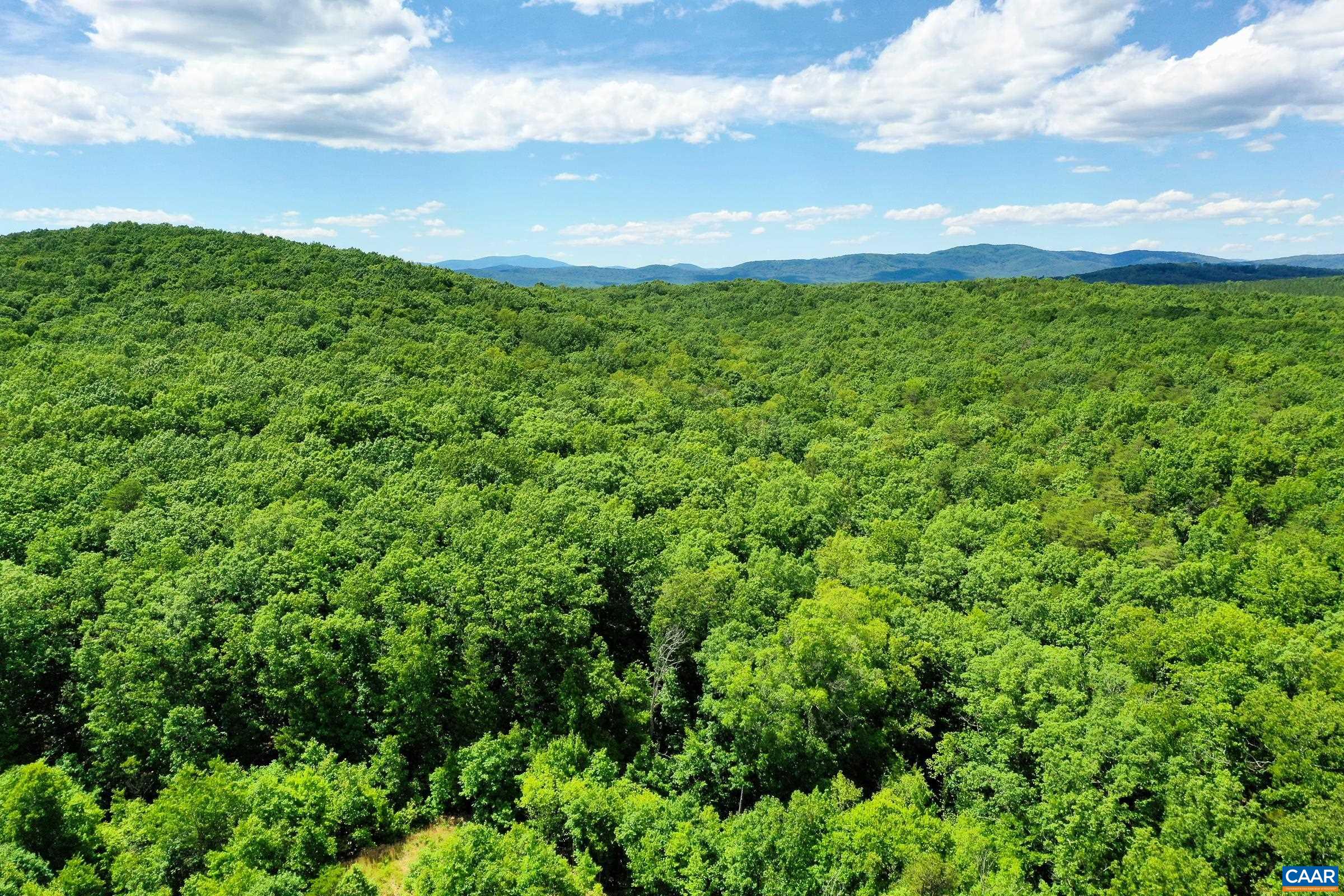 0 MT ALTO RD, ESMONT, Virginia 22937, ,Land,14,0 MT ALTO RD,678787 MLS # 678787 0 MT ALTO RD, ESMONT, Virginia 22937, ,Land,14,0 MT ALTO RD,678787 MLS # 678787