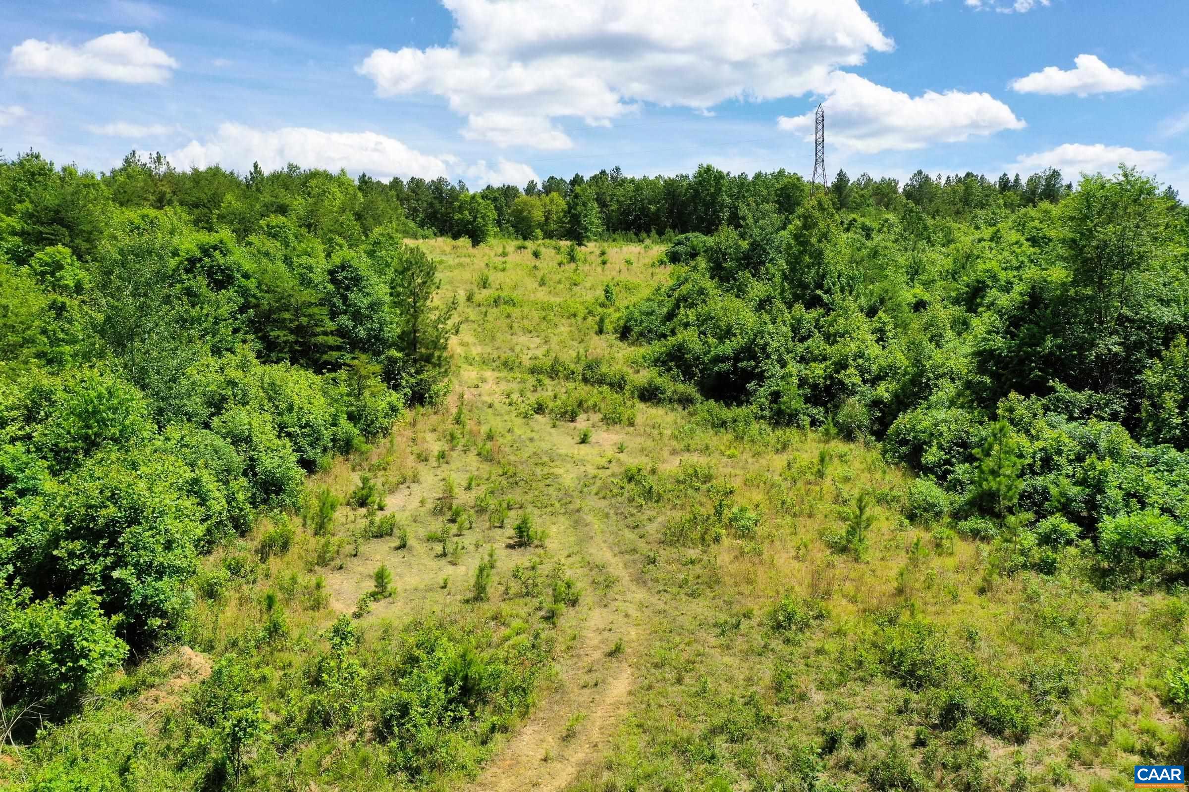 0 MT ALTO RD, ESMONT, Virginia 22937, ,Land,14,0 MT ALTO RD,678787 MLS # 678787 0 MT ALTO RD, ESMONT, Virginia 22937, ,Land,14,0 MT ALTO RD,678787 MLS # 678787