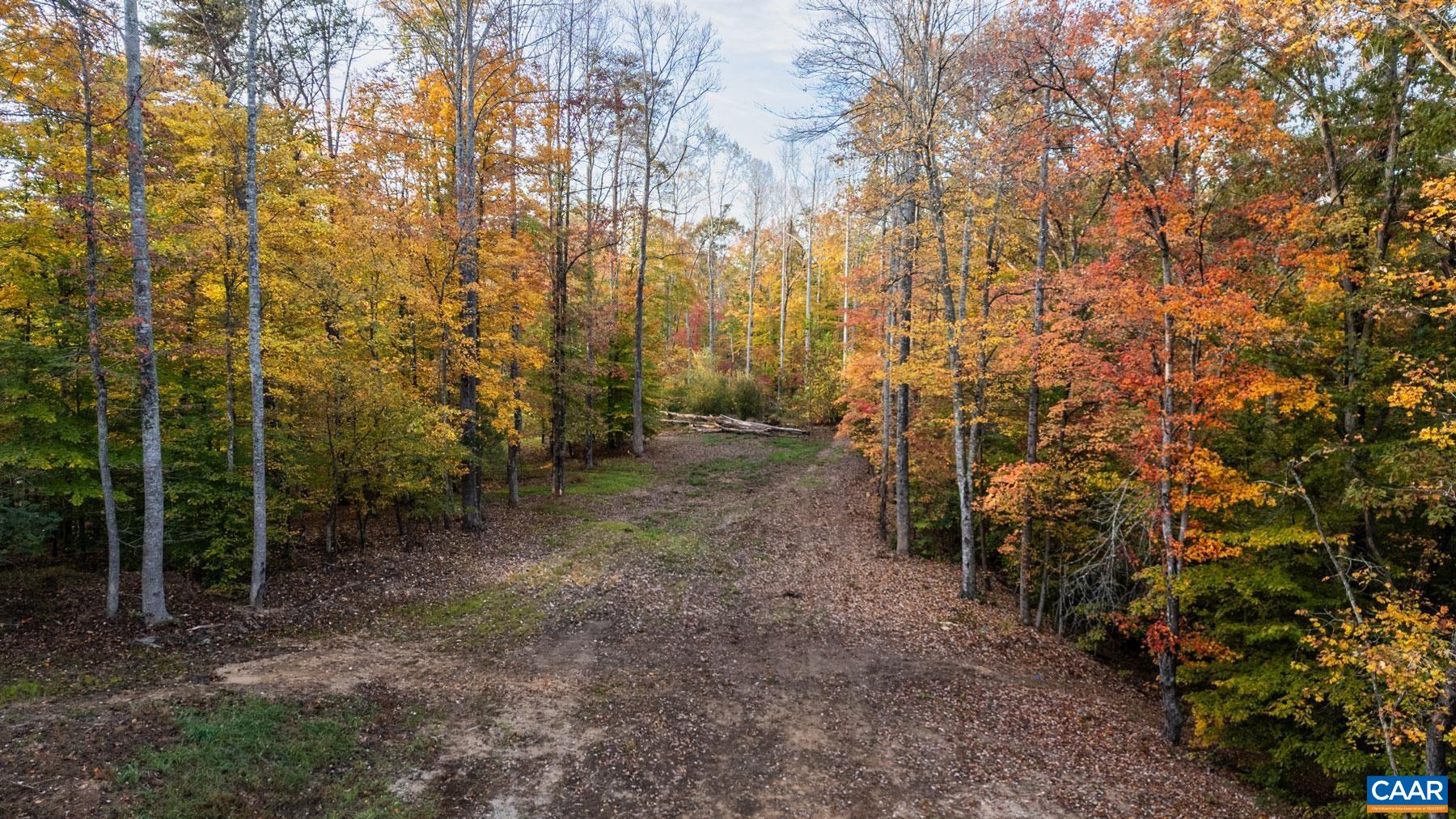 42 SHADWELL RD, KESWICK, Virginia 22947, ,Land,14,42 SHADWELL RD,682393 MLS # 682393
